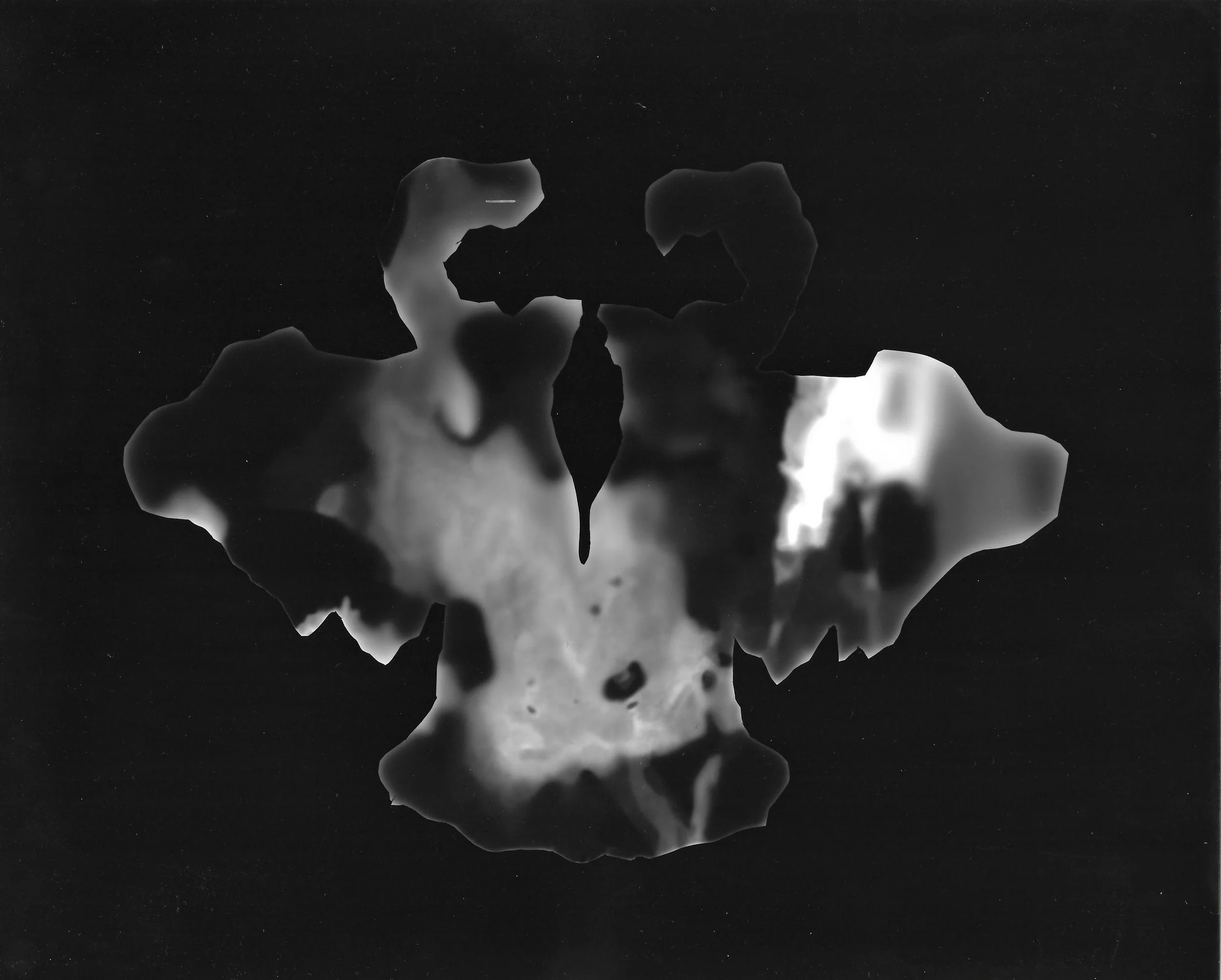 photographic Scan0006.jpg