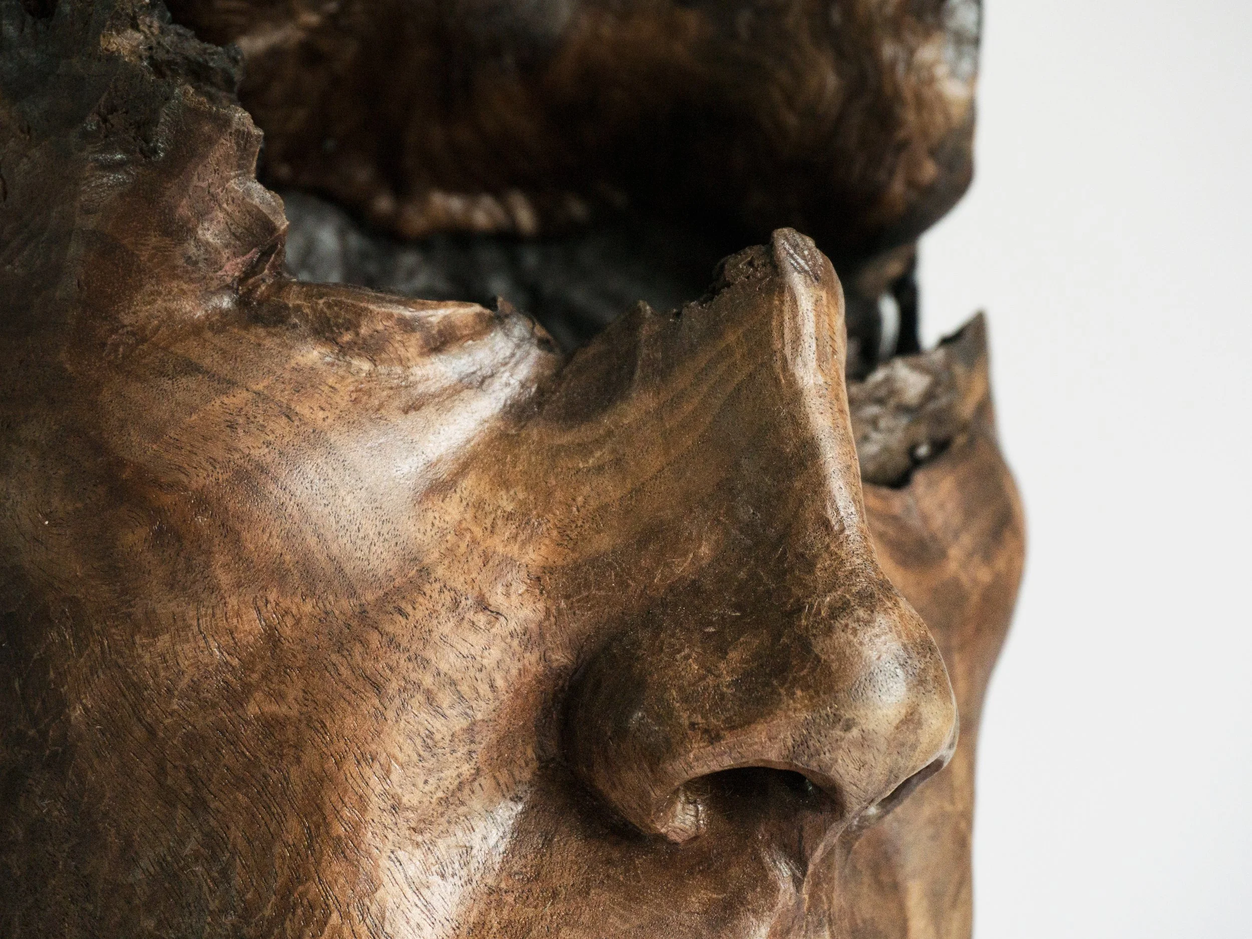 Close-up of a wooden sculpture of a human face, showing the nose, lips, and part of the forehead.
