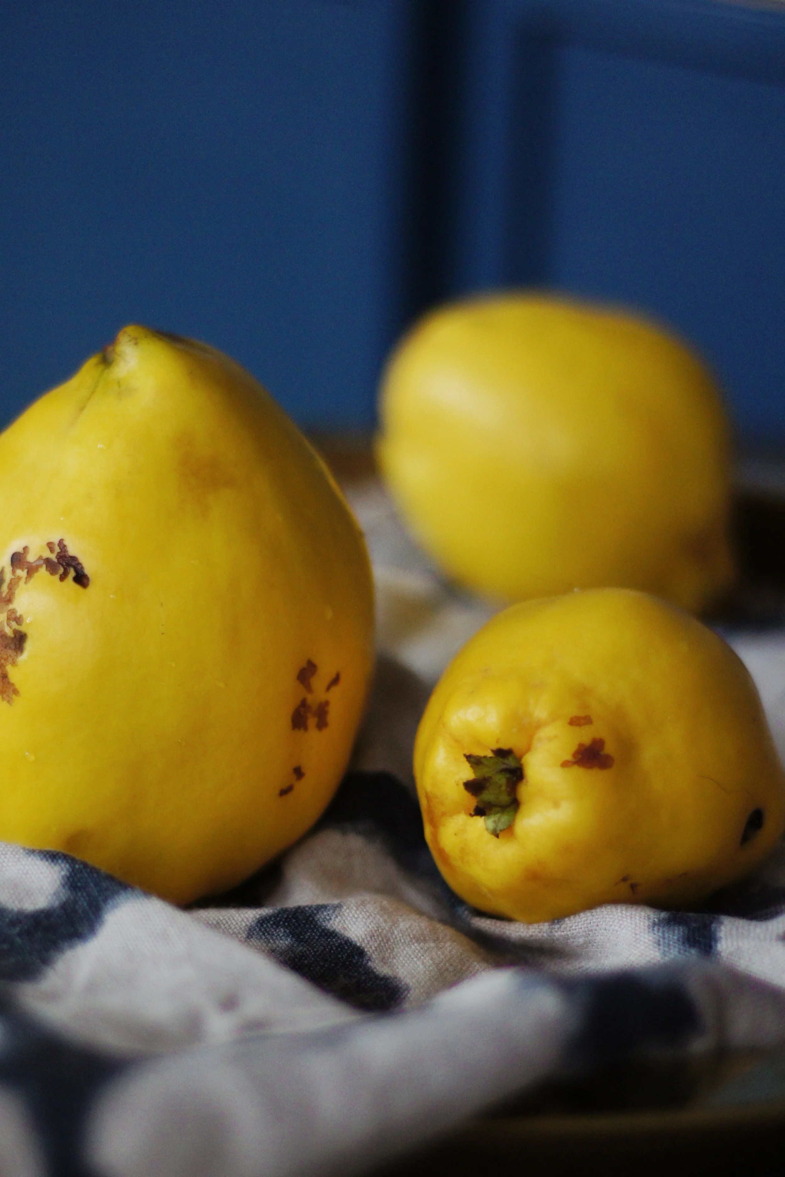 quince_fruit_blog.jpg