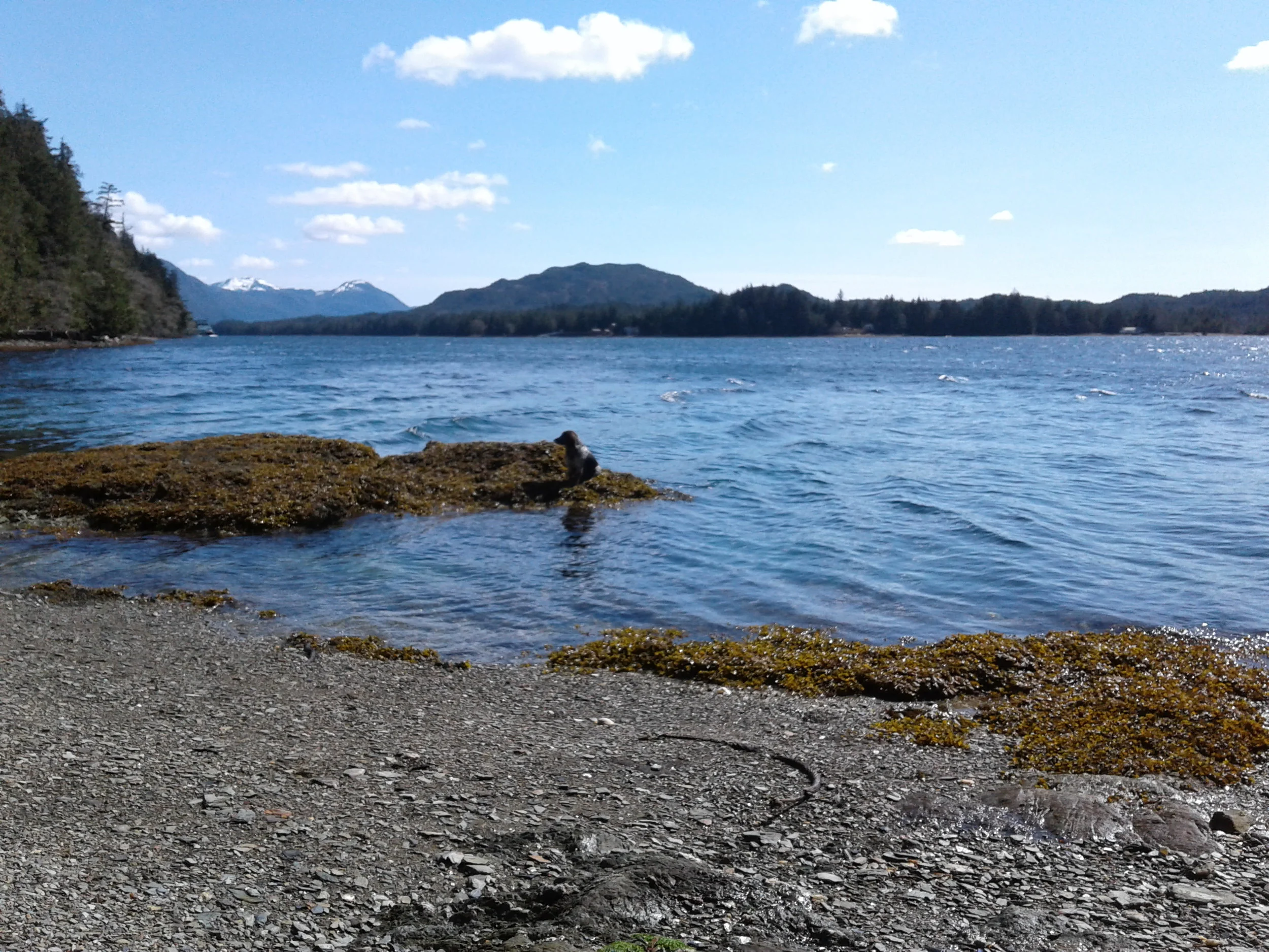 20180428_143024.jpg