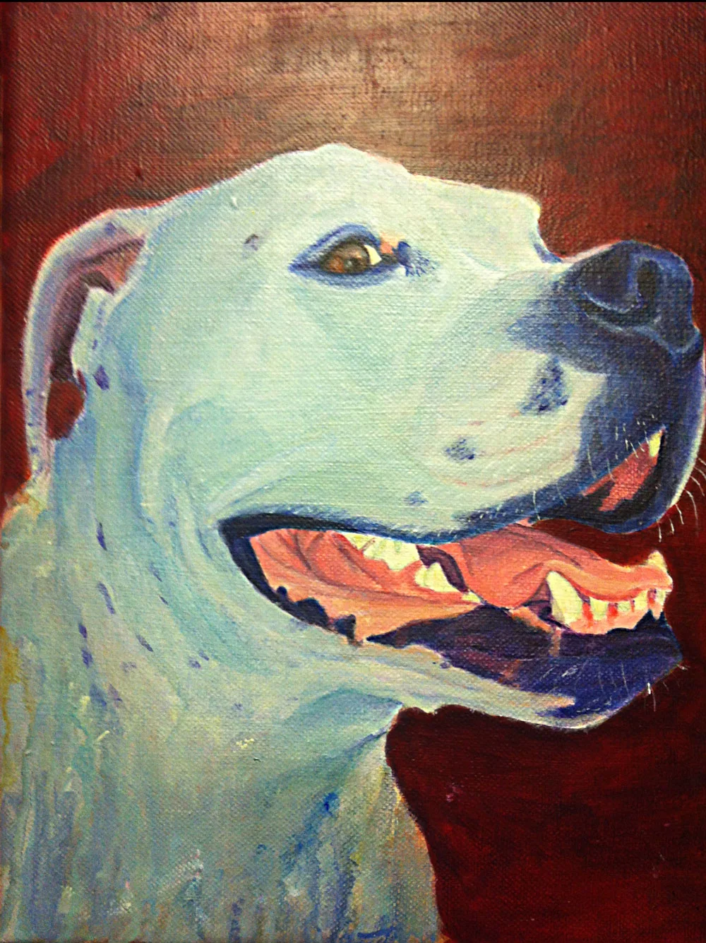 Blue Dog