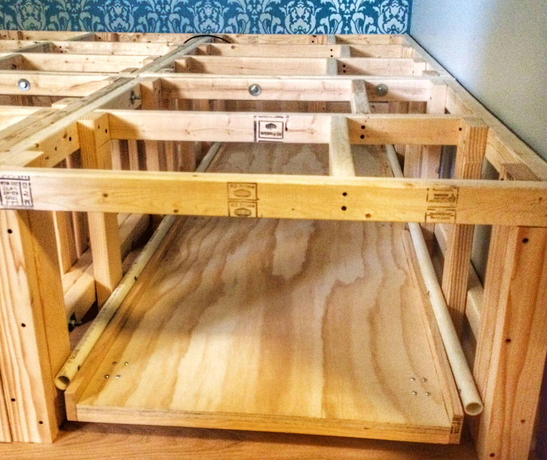 Platform During.jpeg