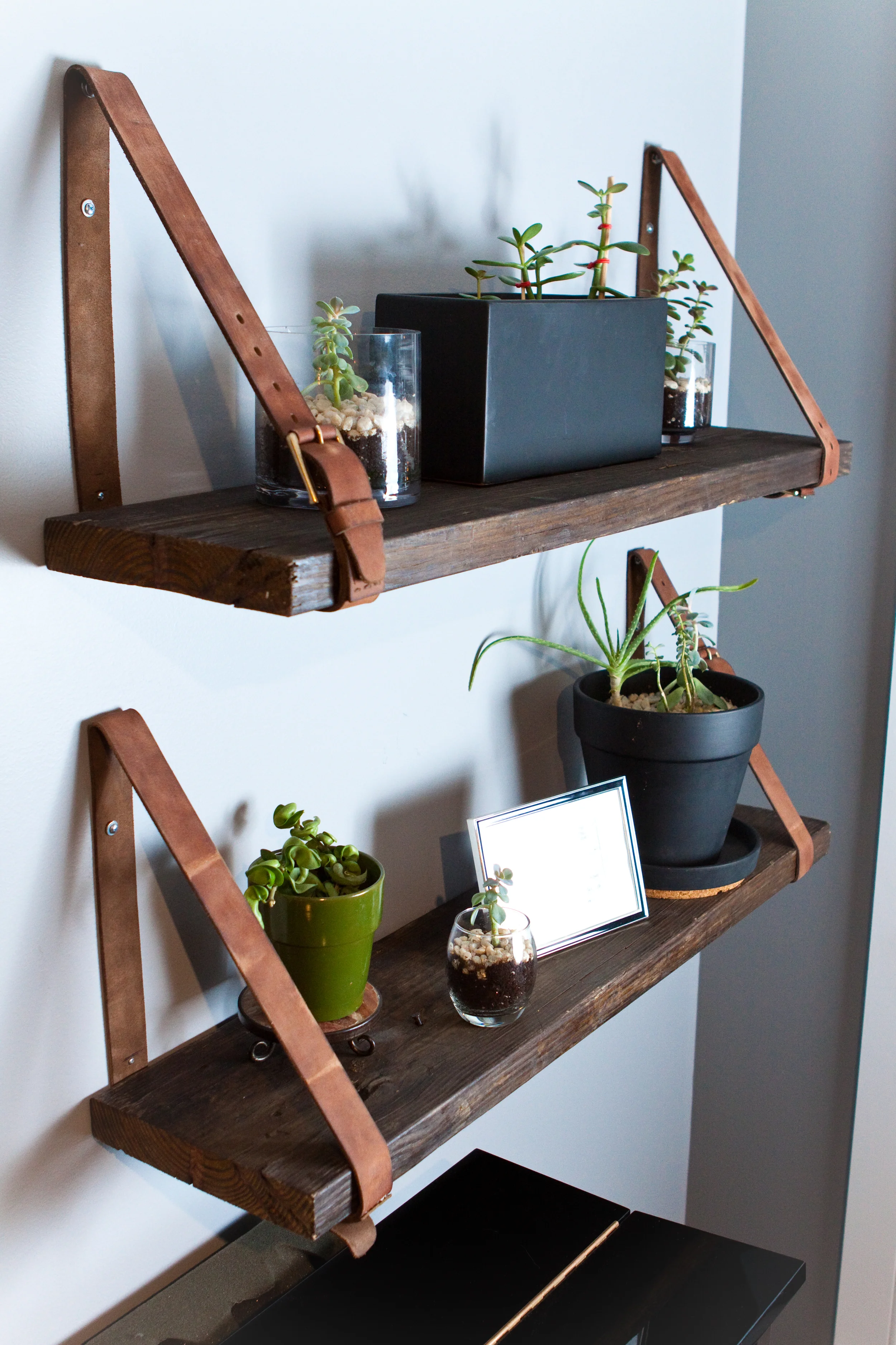 Distressed belts hold 2 reclaimed wood shelves in place for just the right touch in this eclectic space.