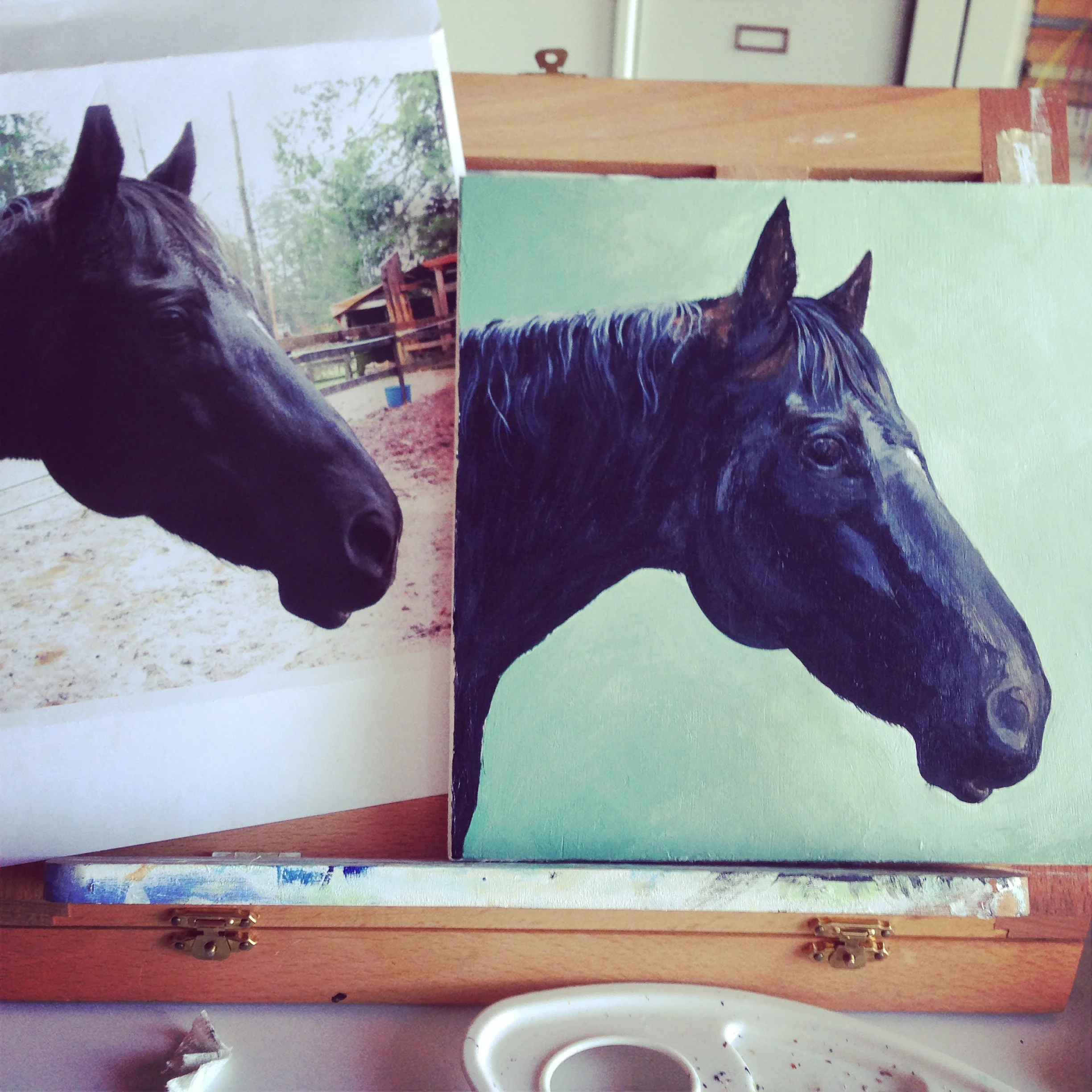 Pricing, Sizes, and info on Pet Portraits. 