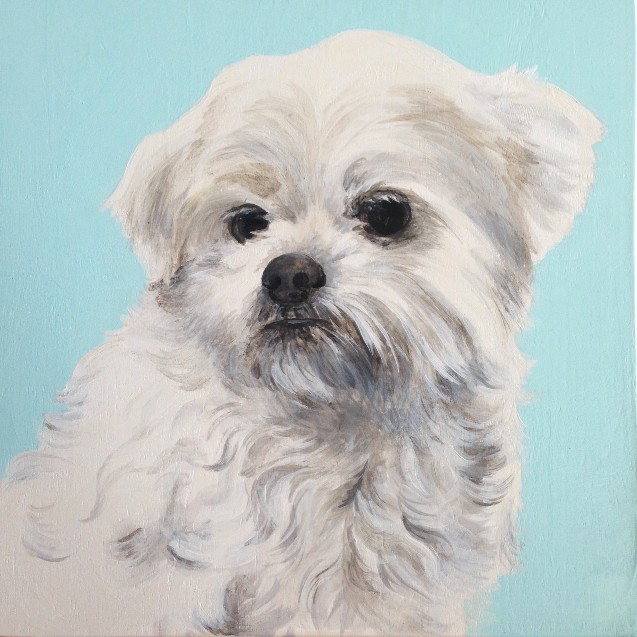  Sparky the Japanese Chin mix - painted for my Mum 