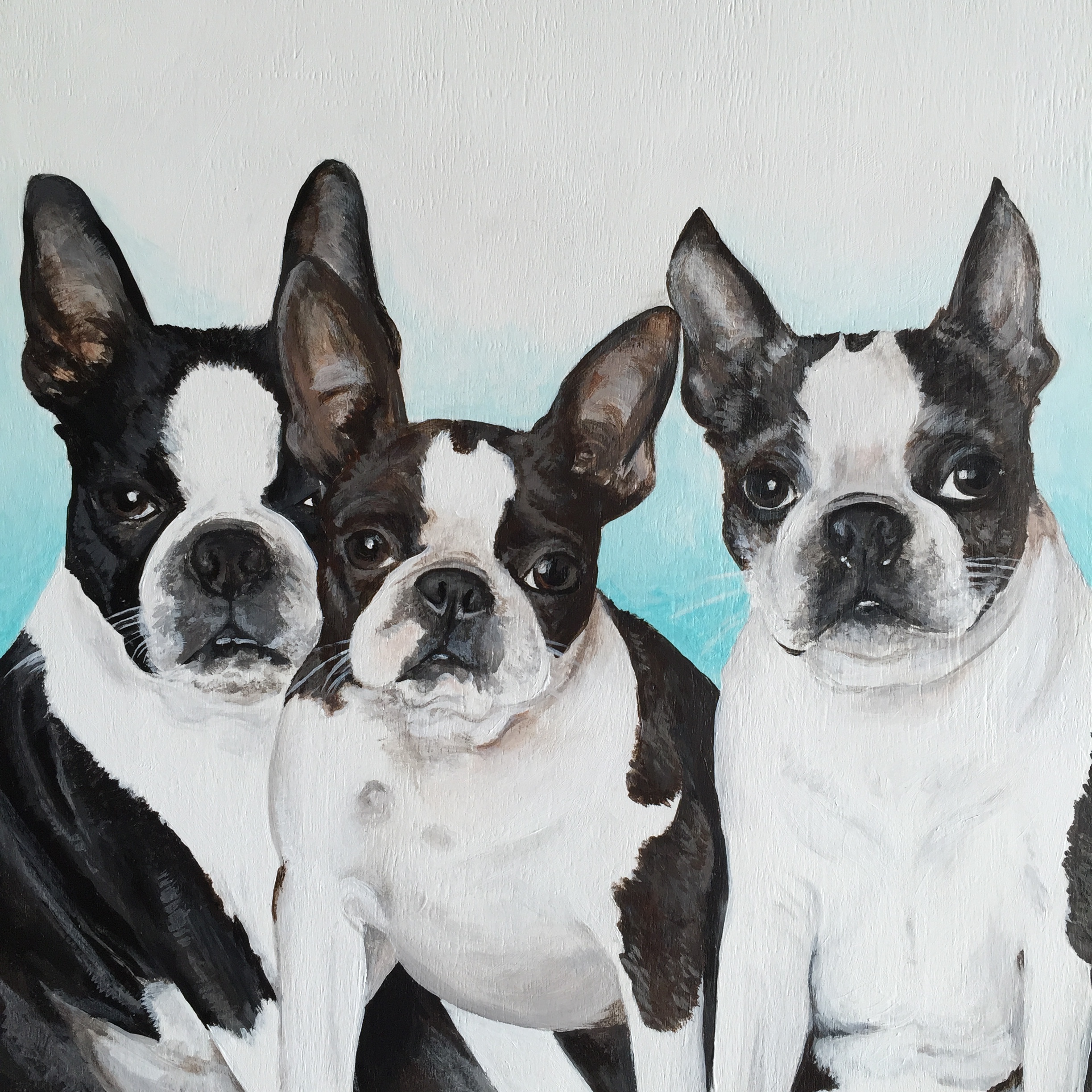  Memo, Frances, and Skylar - Boston Terriers painted for Chandra @ohmydoggies 