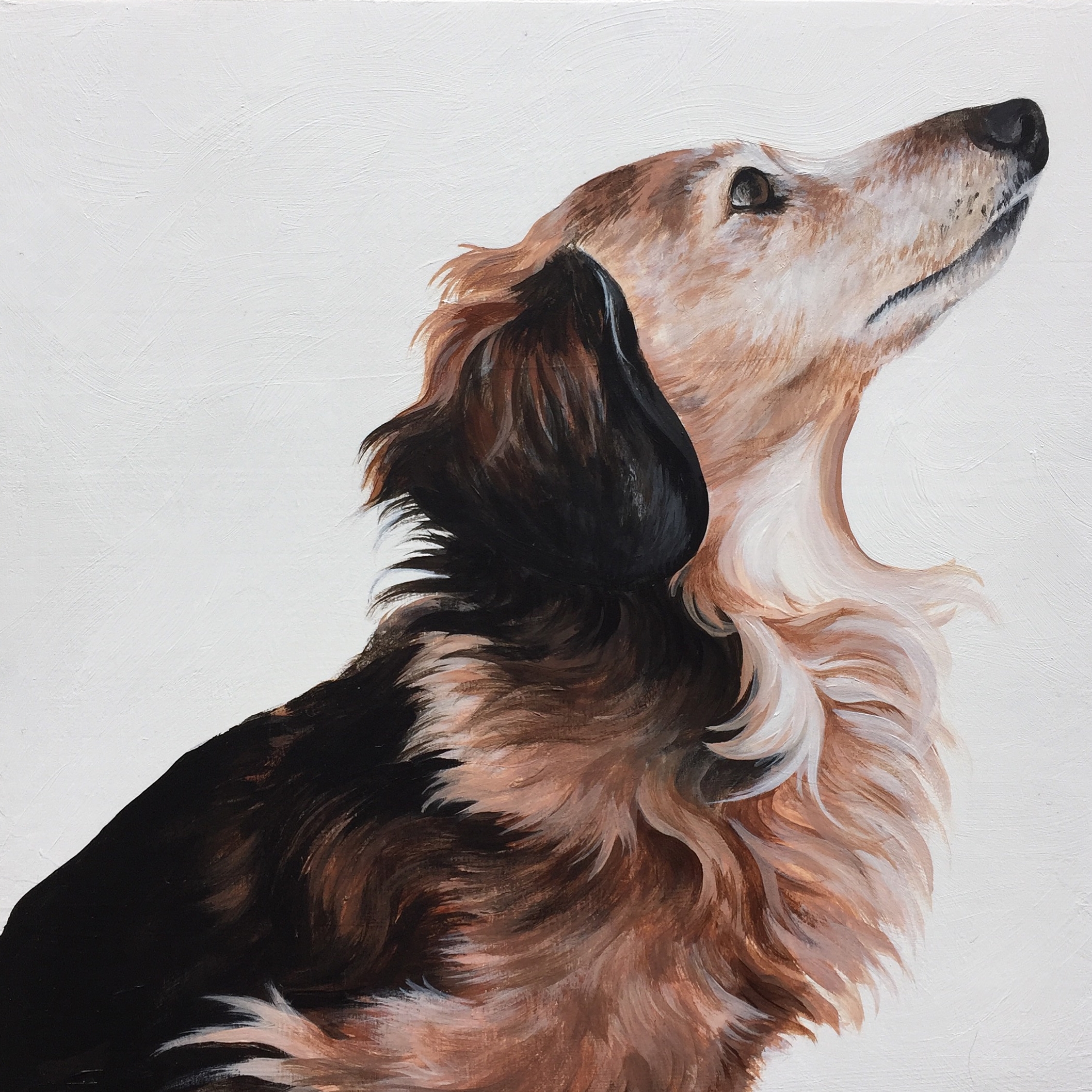  Rocky, commissioned by Julie Daxon. 