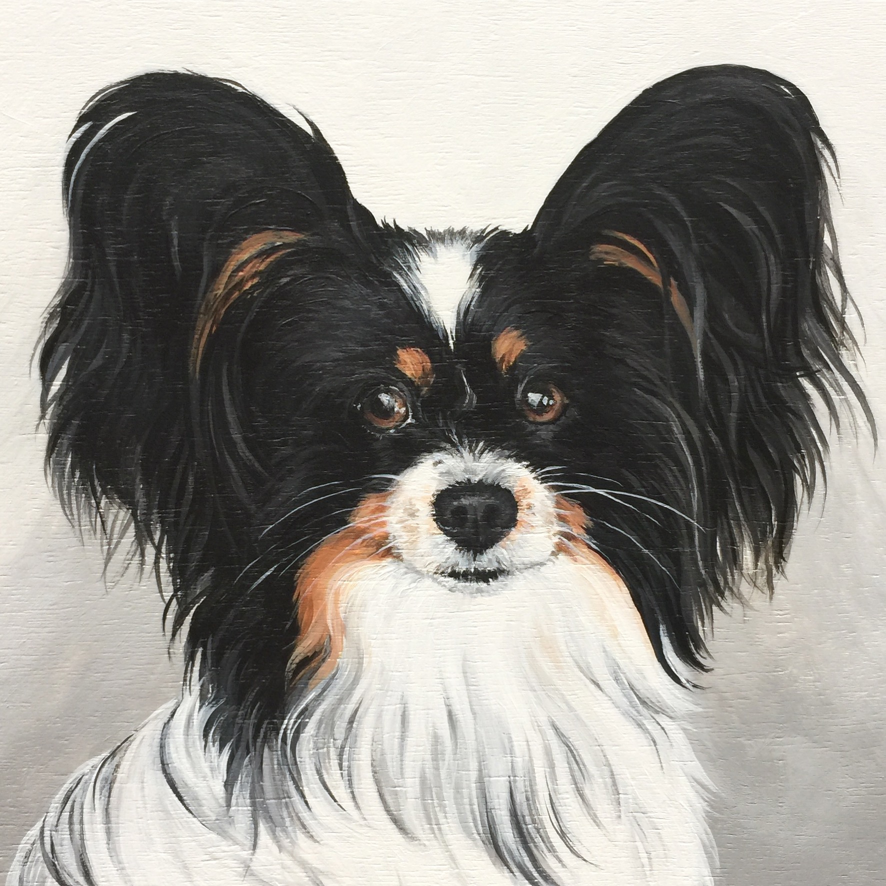 Bogey the Papillon - commissioned by Sharon 