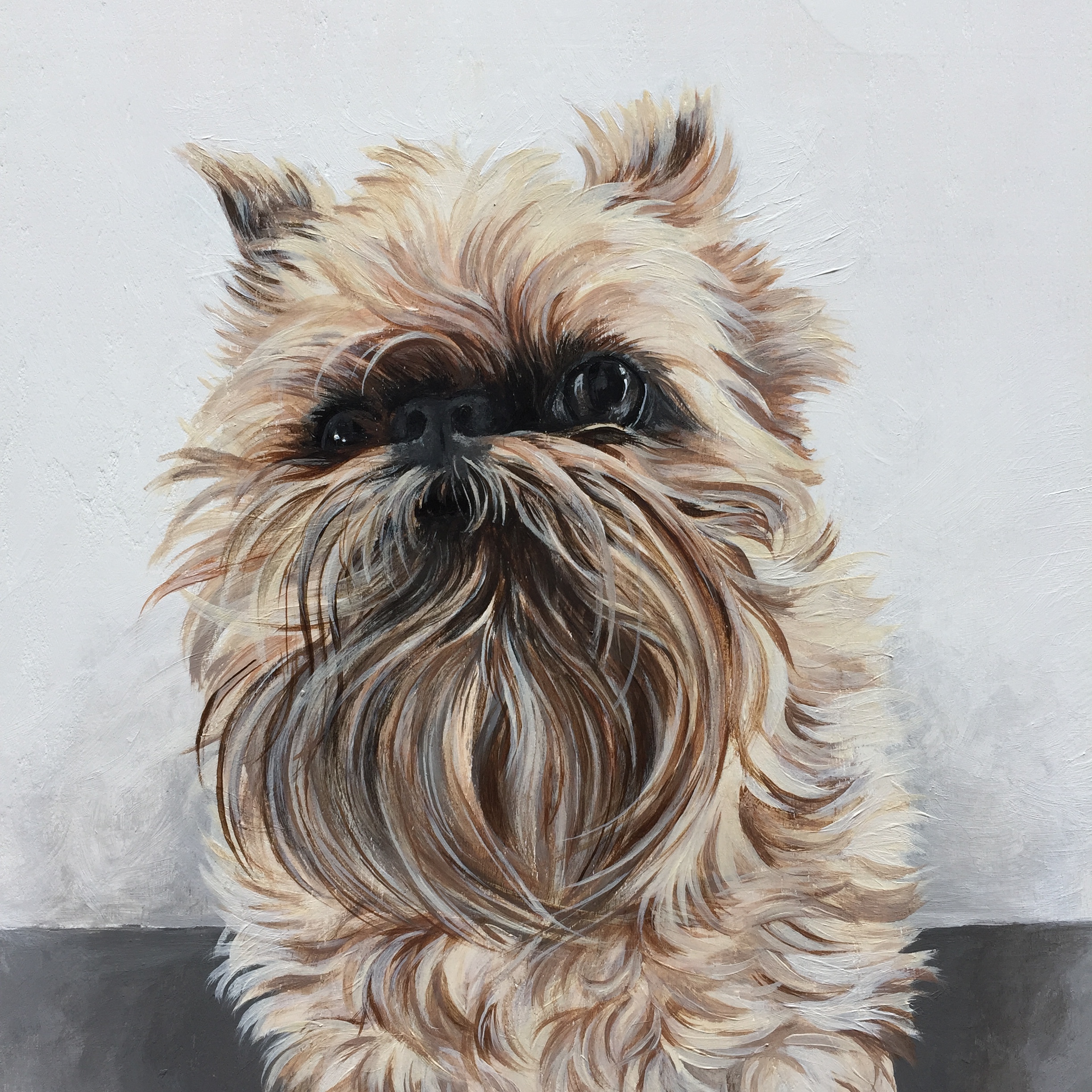  Chewie the Brussels Griffon - commissioned by Cassara 