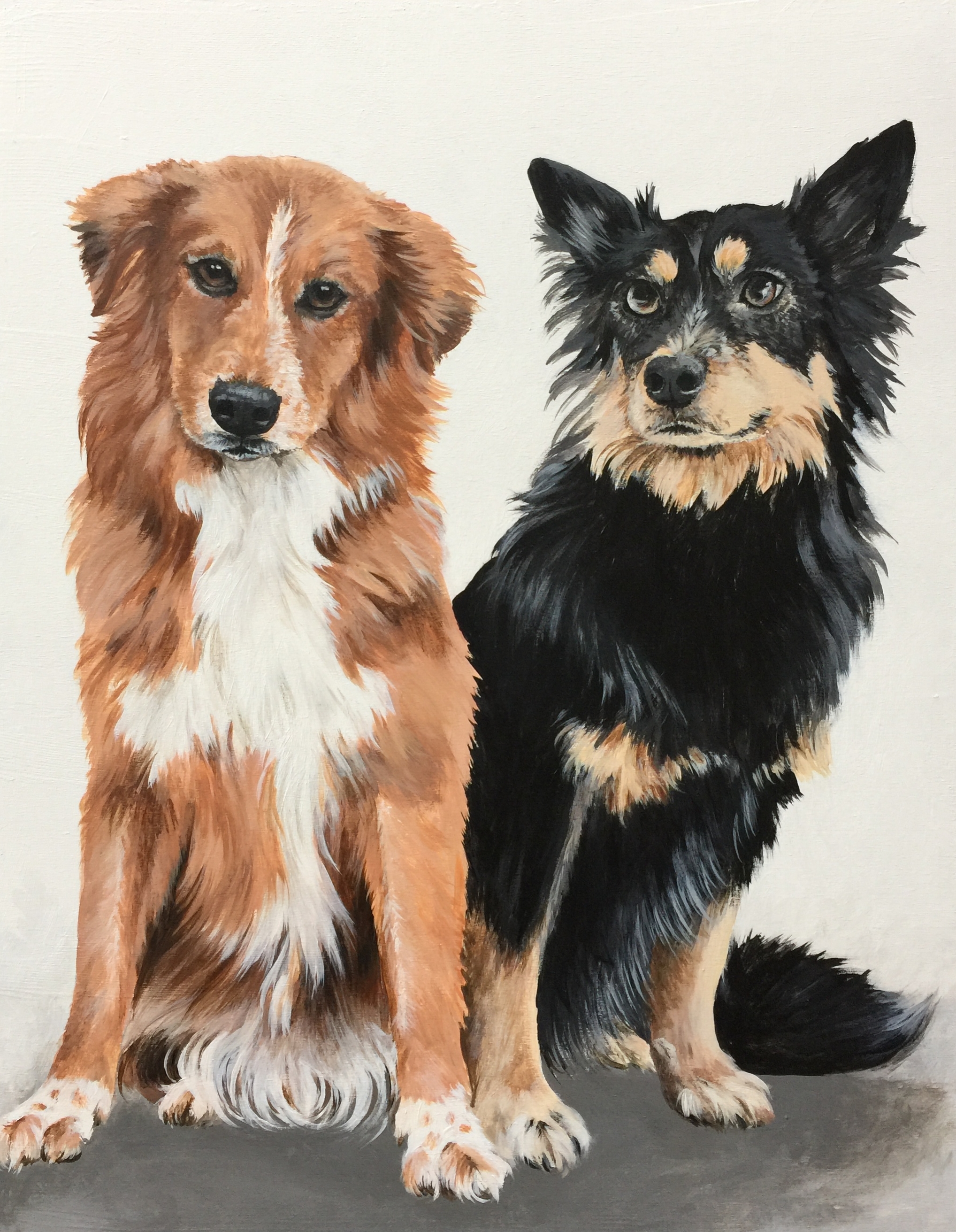  Milley and Cowboy the rescue mutts - commissioned by Janet 