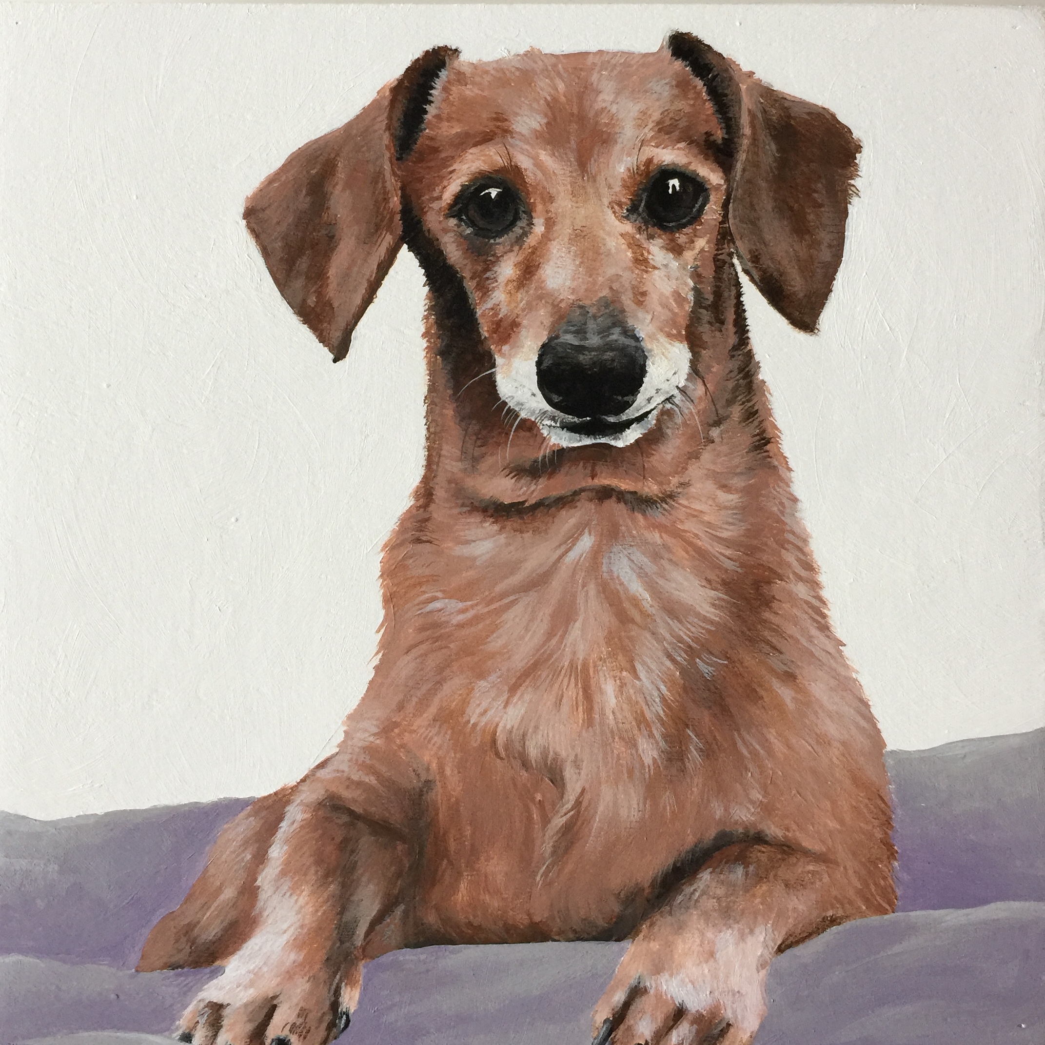  Bartels the Dachshund - commissioned by Shelby&nbsp; 