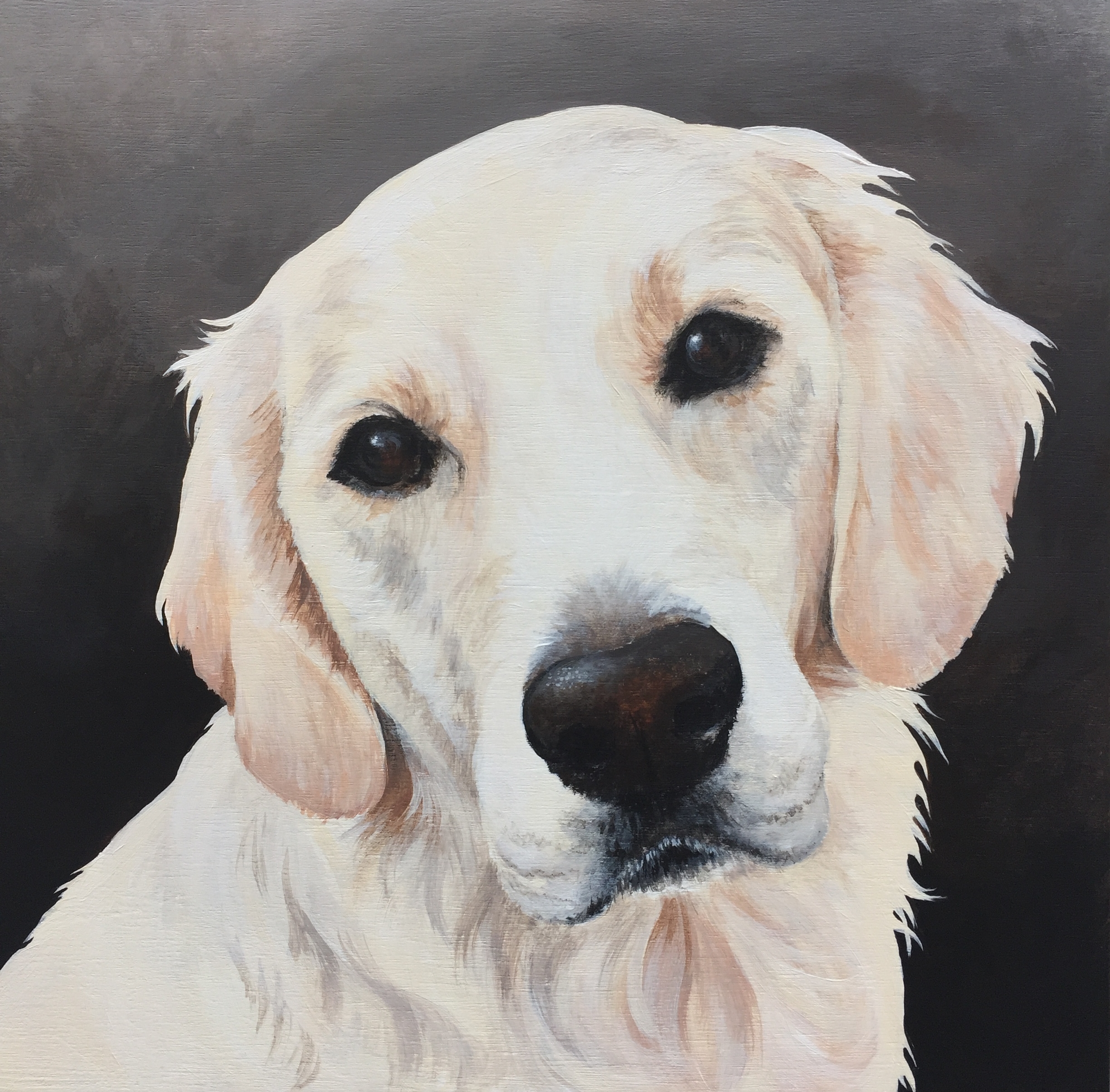  Riley the Golden - commissioned by Mike 