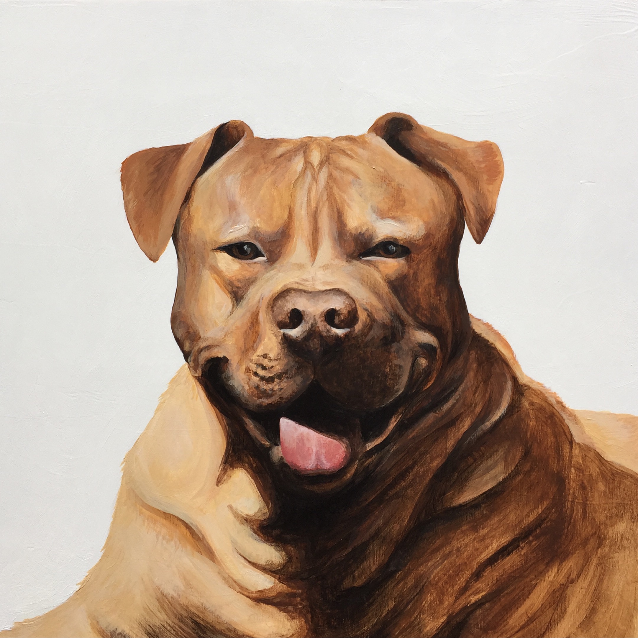  Nugget the Pittbull - commissioned by Tyler 