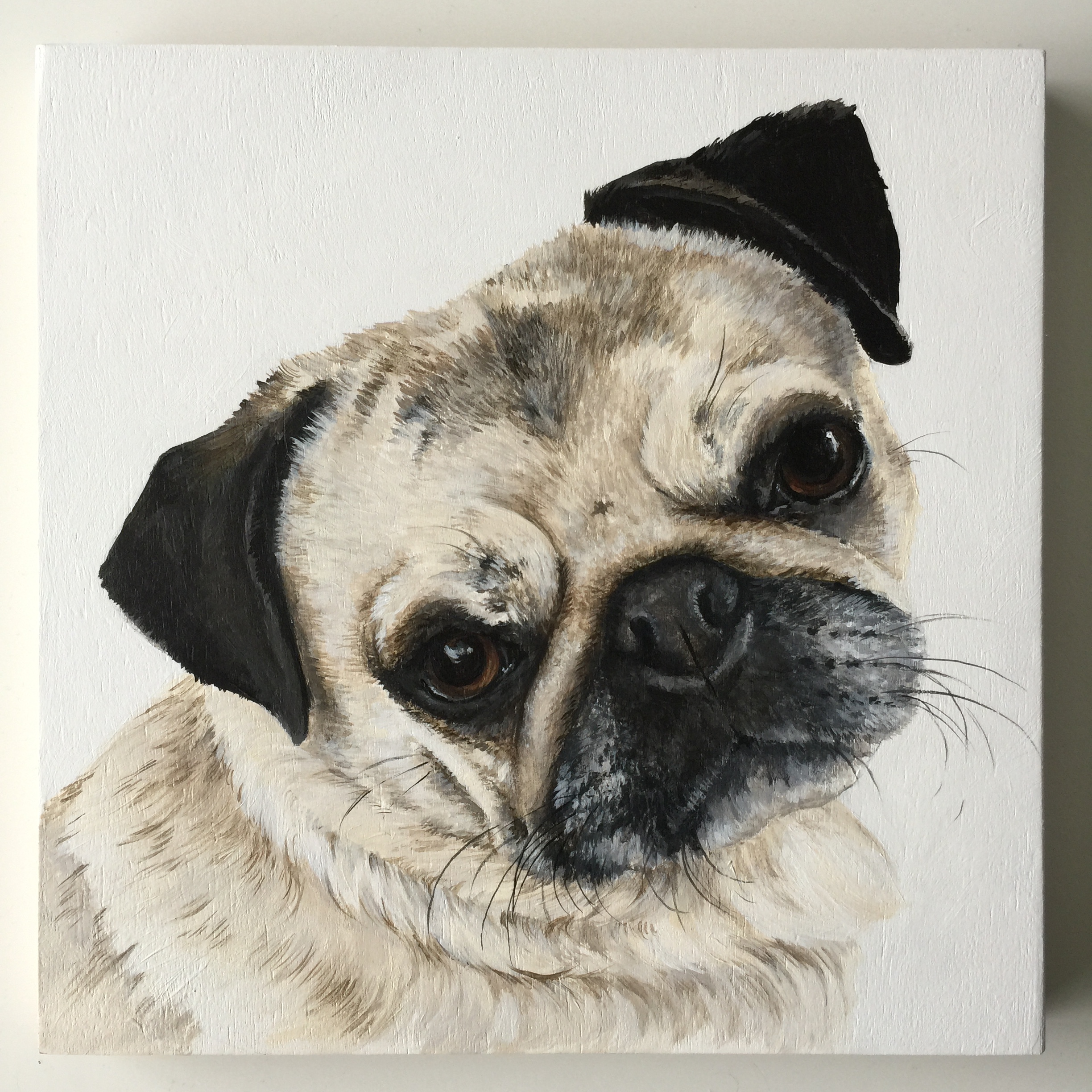  Meadow the Pug - commissioned by Liz 