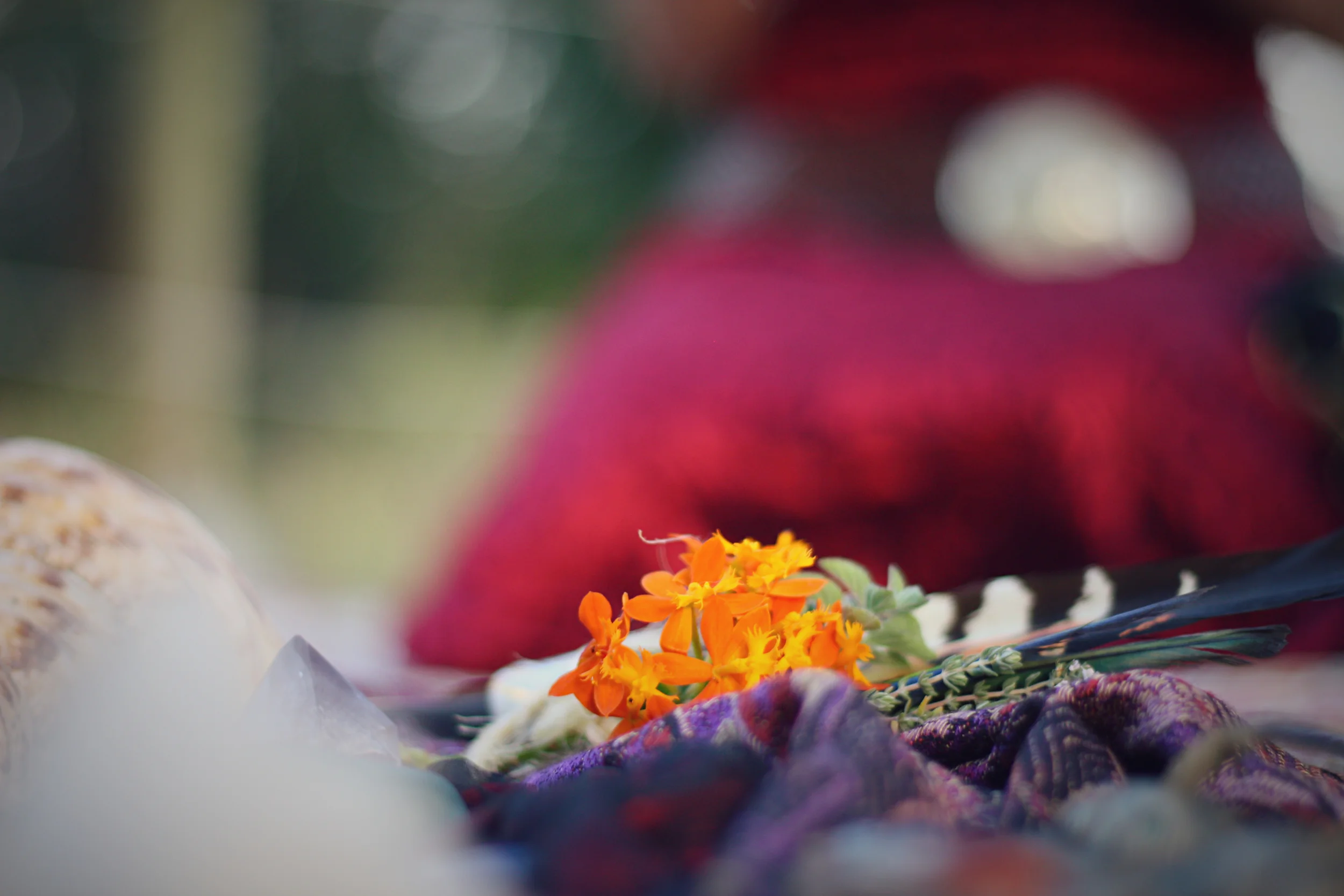 What my ego doesn't want you to know...