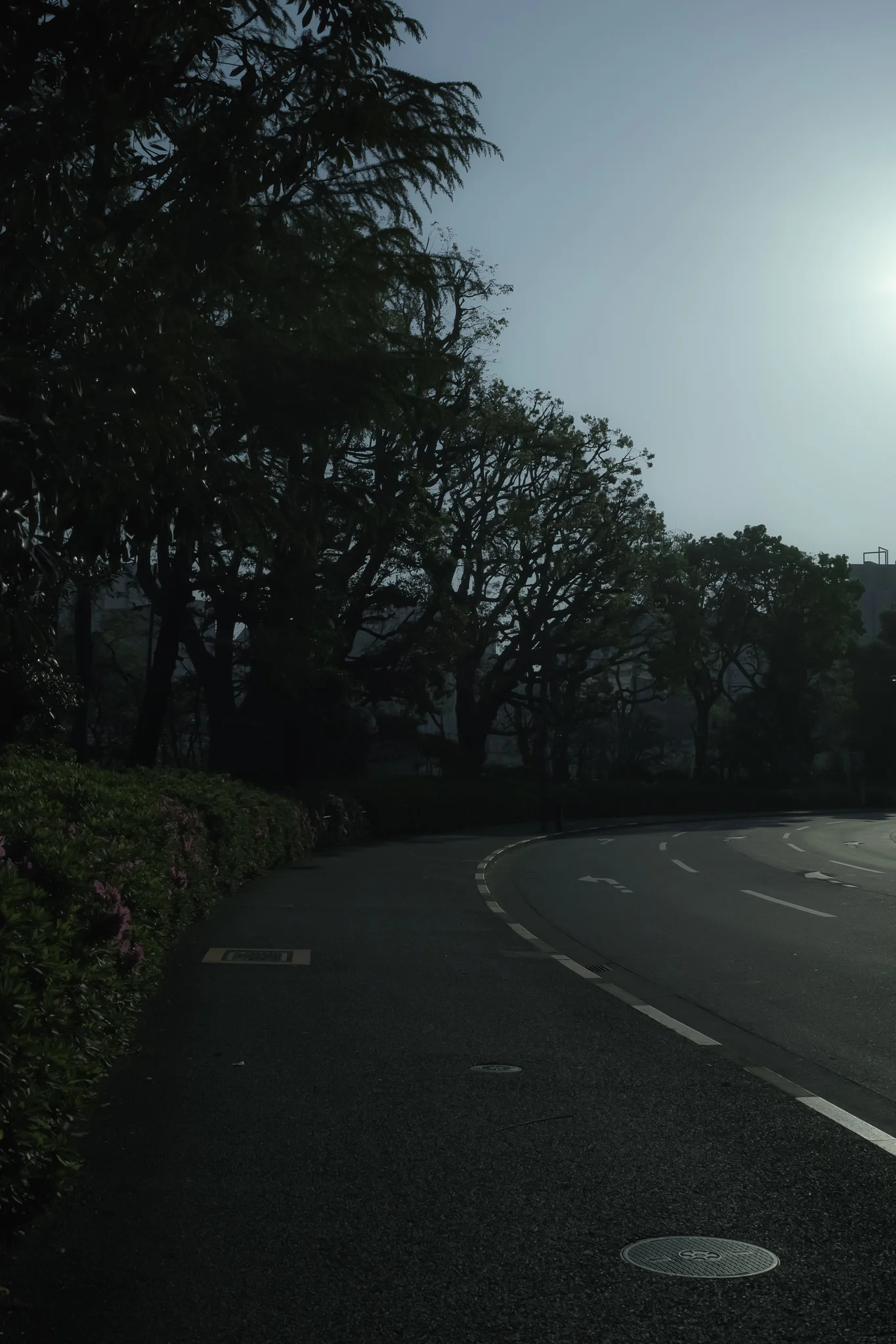 _SDI1146_2048.jpg