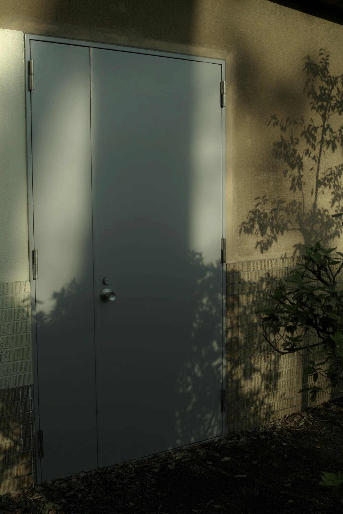 _SDI1136_2048.jpg