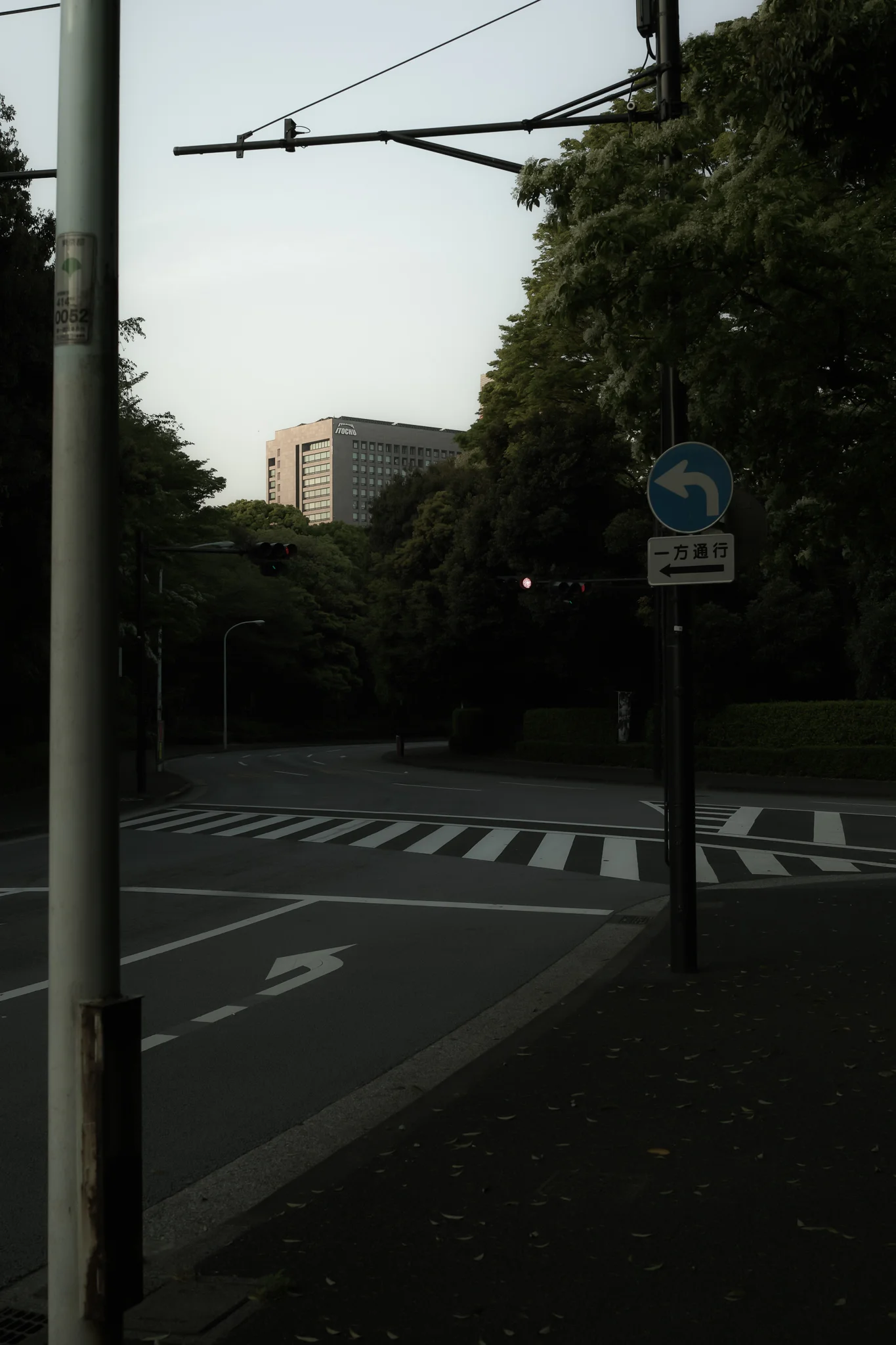 _SDI1106_2048.jpg