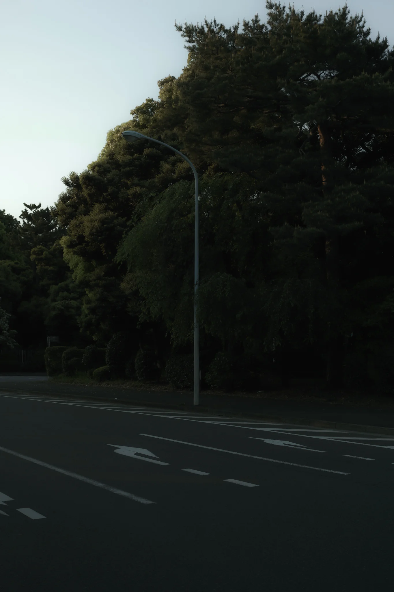 _SDI1100_2048.jpg