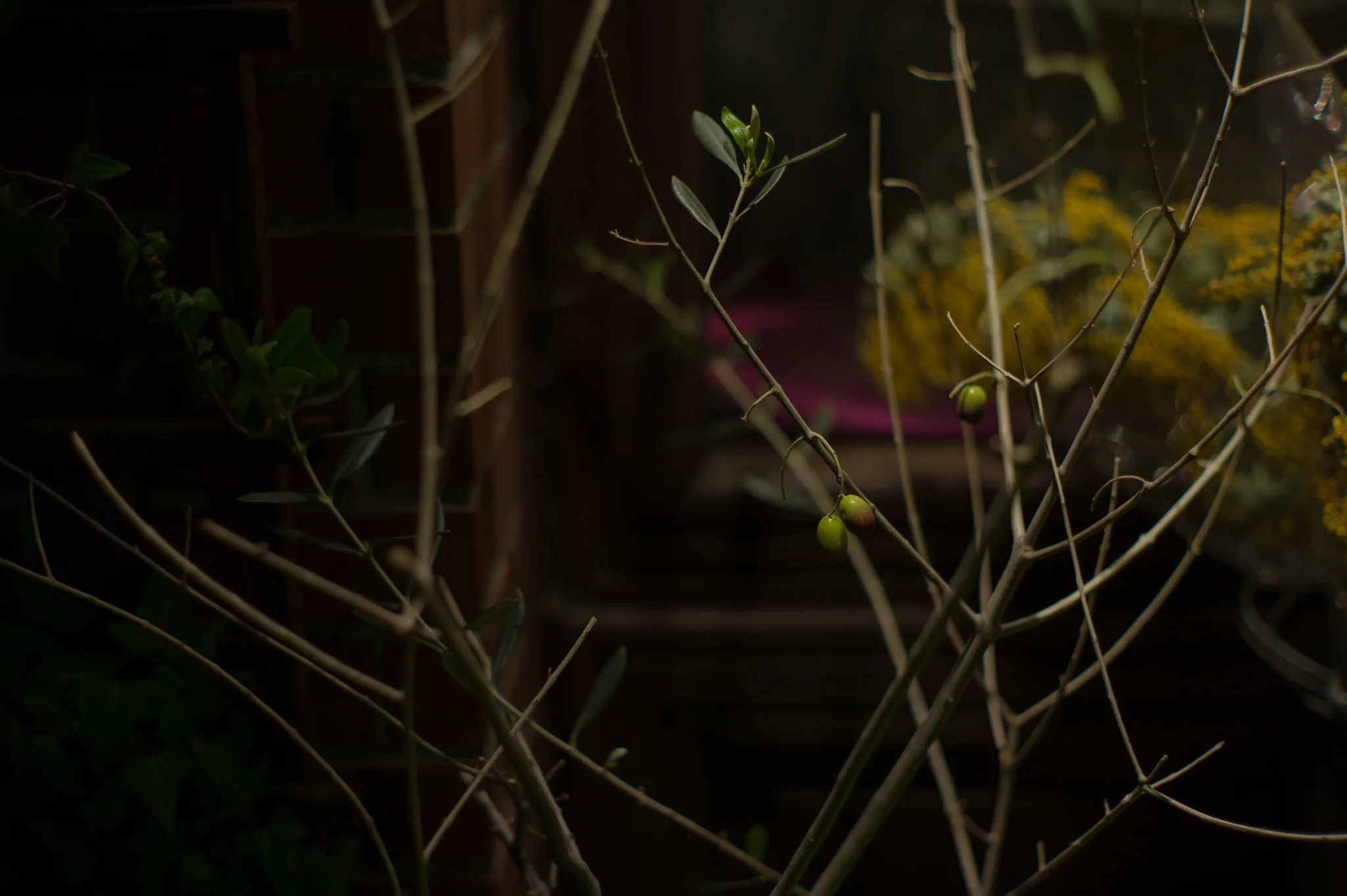 L1007602_2048.jpg