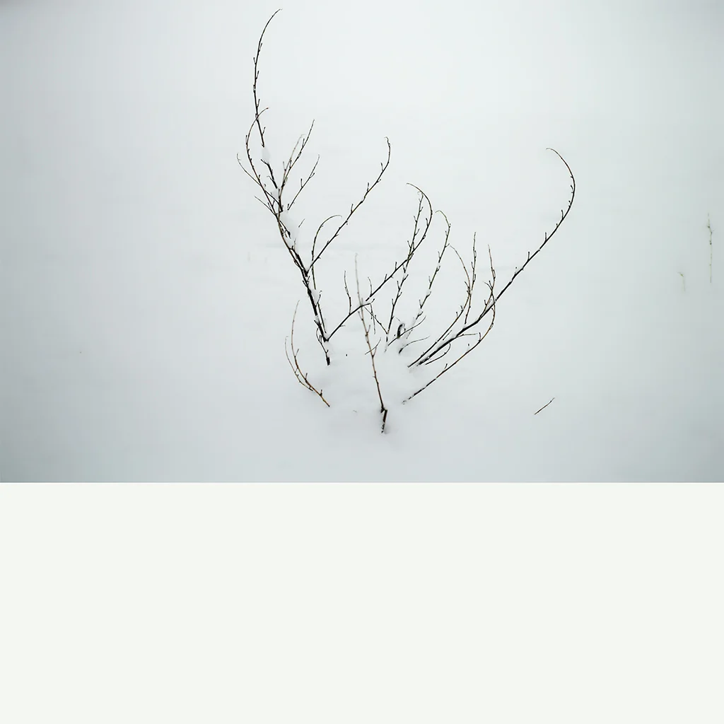 _SDI2692.jpg