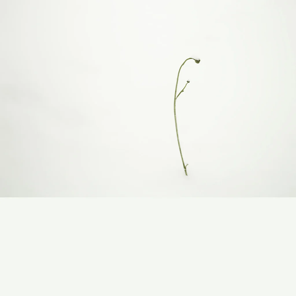 _SDI2700_l.jpg