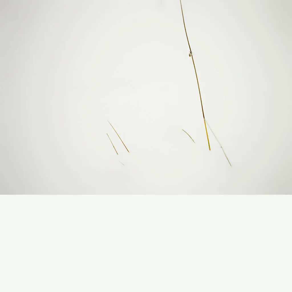 _SDI2720.jpg