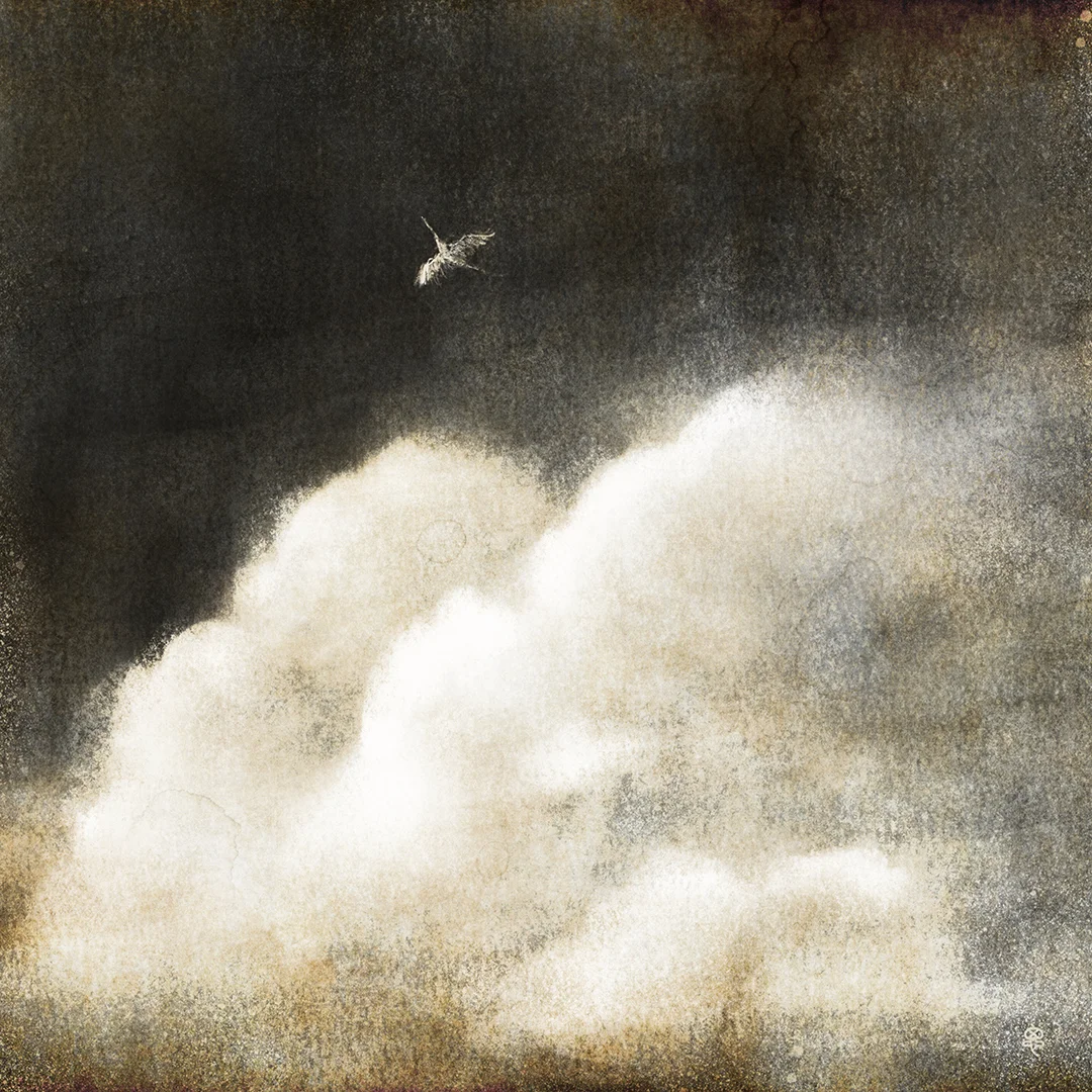Bluebird of Happiness