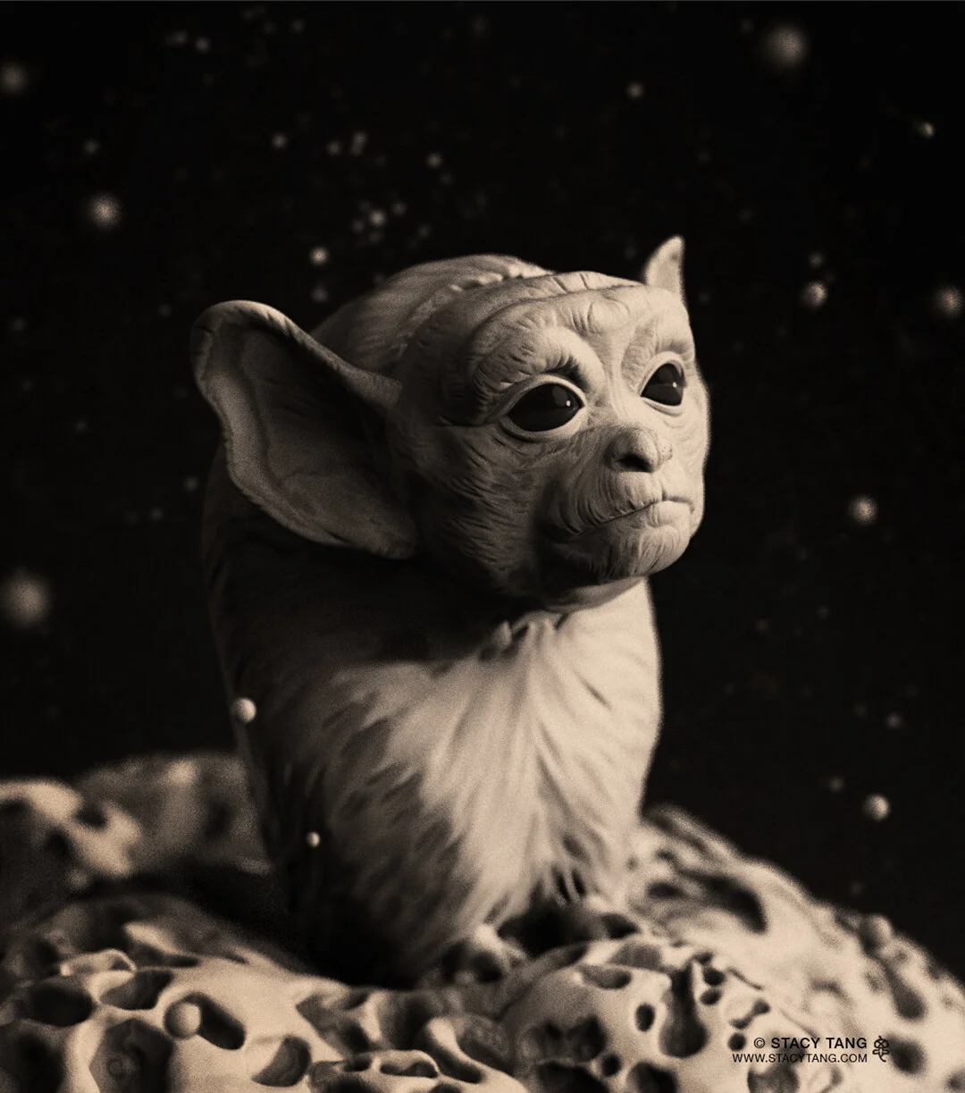 02 - Moqui