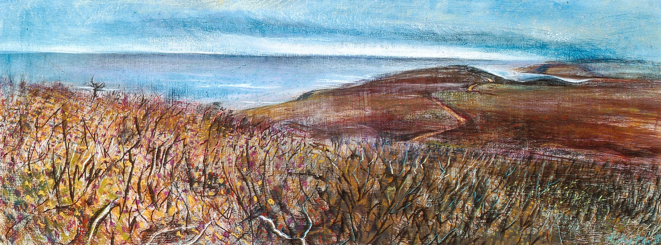 Prevelly After the Fire 1987, pastel on Arches paper, 45 x 110cm