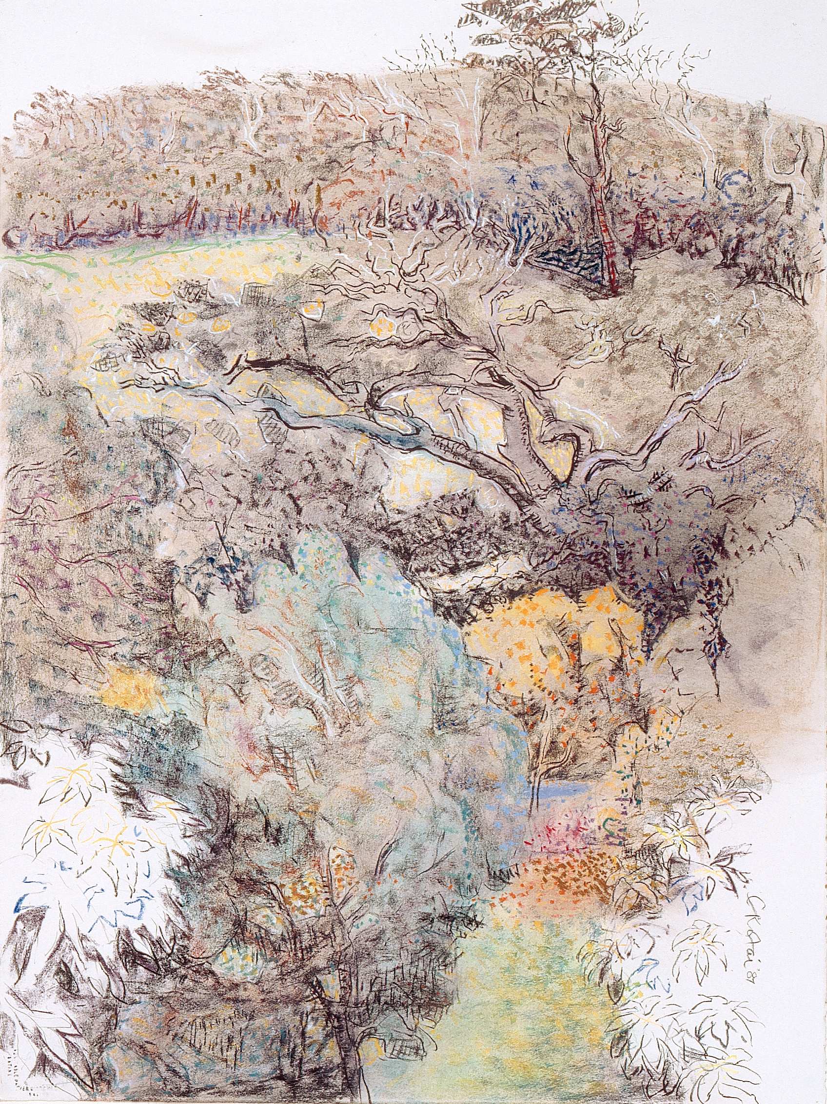 Chinese Hill 1987, pastel on Arches paper, 76 x 57cm. Private Collection