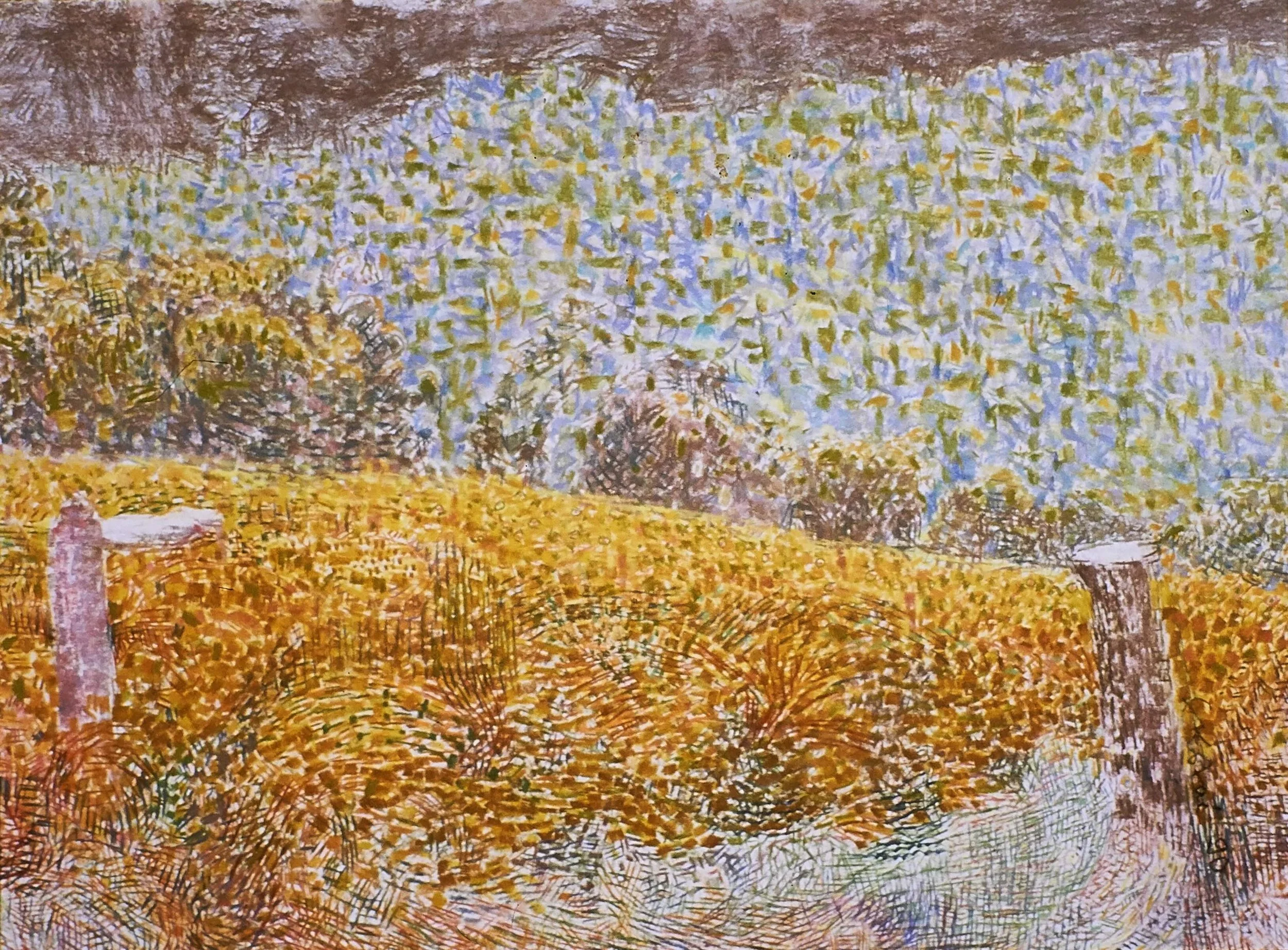 Turning Vines, 1991, pastel on Arches paper, 57 x 76cm. State Art Collection, Art Gallery of Western Australia copy.jpg