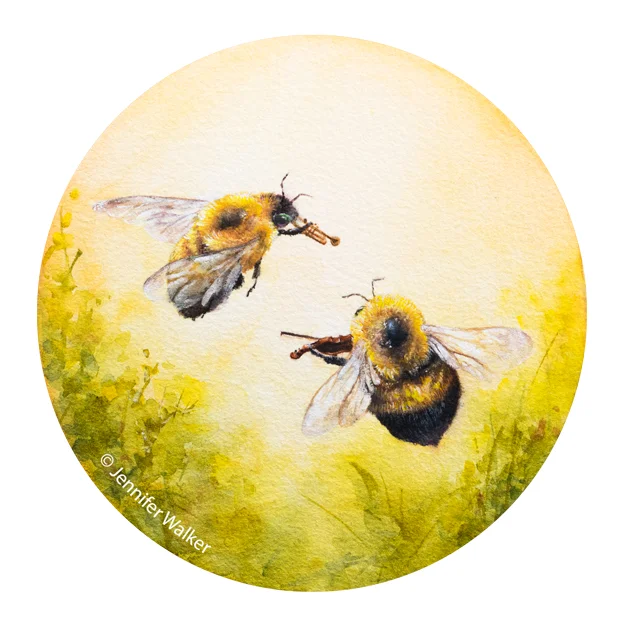 bee-duet-edits-2-website.jpg