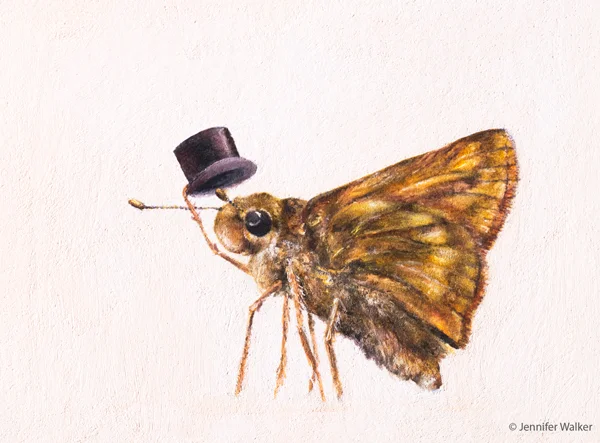 moth-top-hat-edits-web.jpg