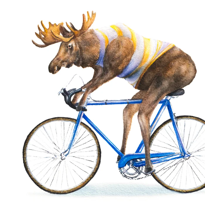 moose-thumb.jpg