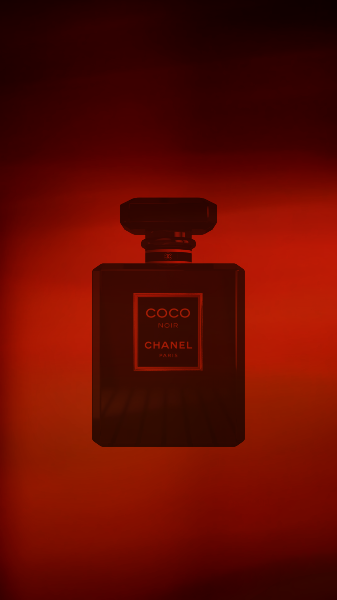Chanel N°5 Limited Edition + Chanel Coco Noir — Ines Leite