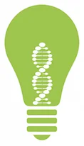Light bulb Green.jpg