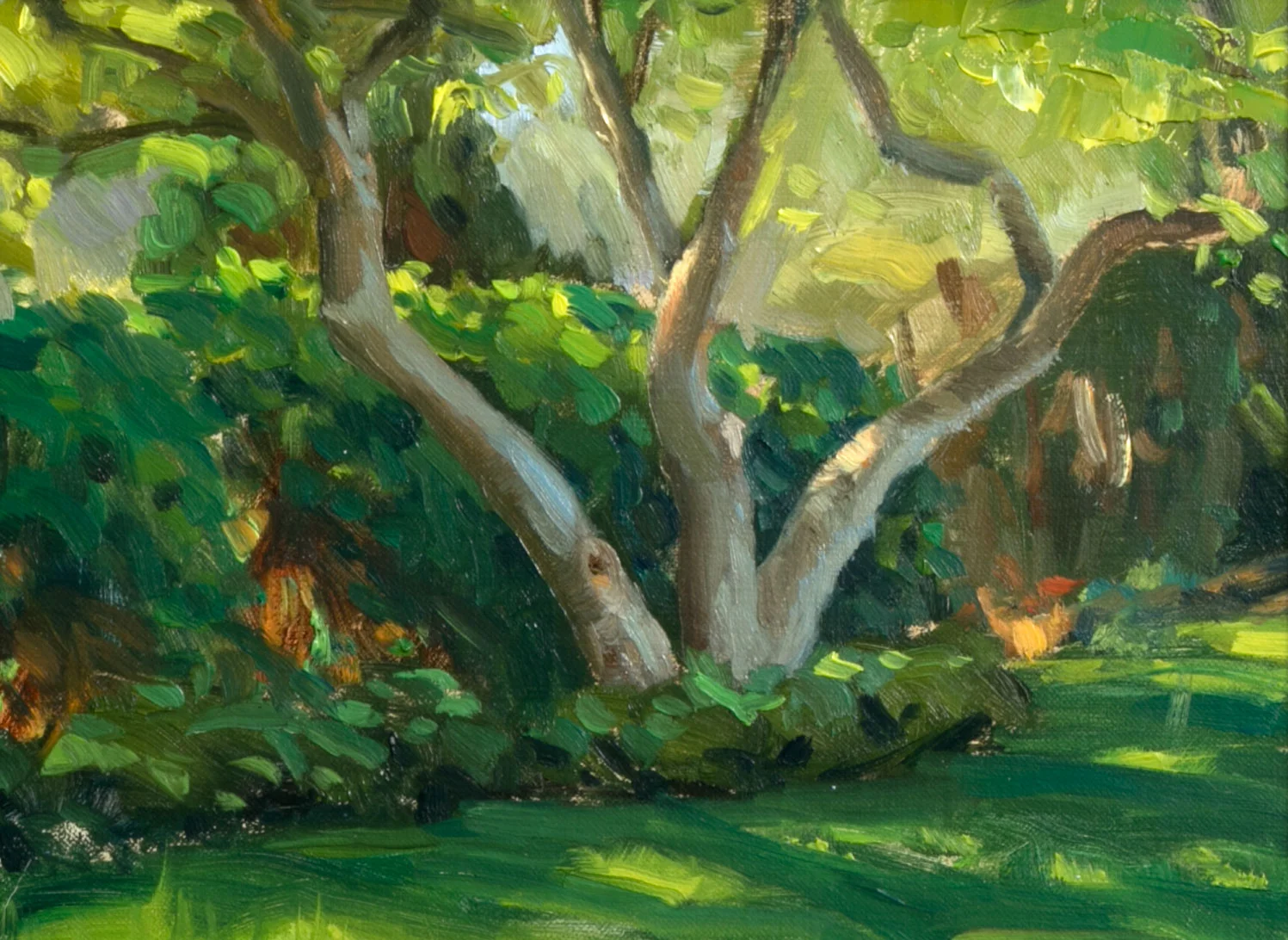 Manito Park