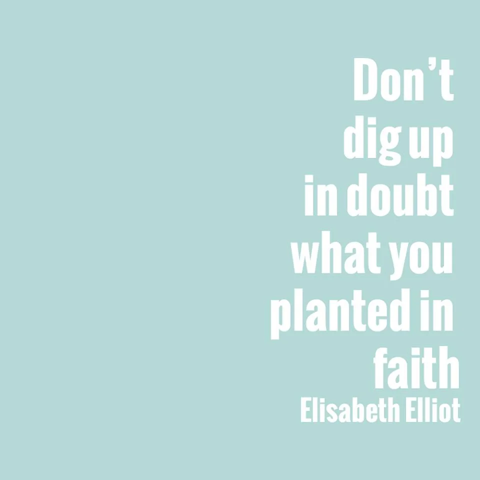Don't Dig Up In Doubt..