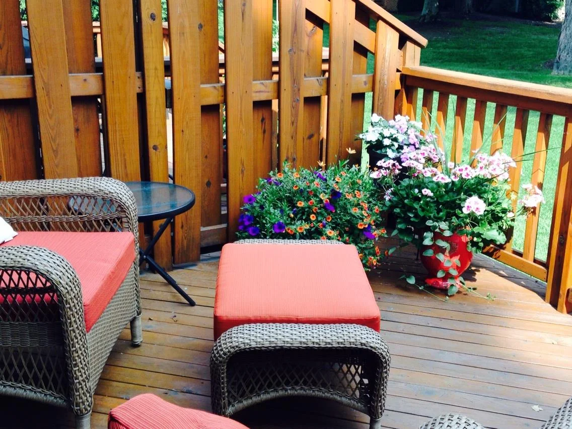 deck 2015.jpg