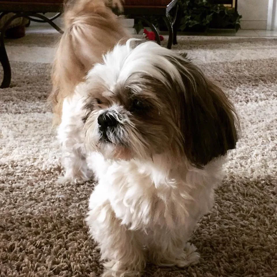 Magic - September 30, 2002-July 13, 2017