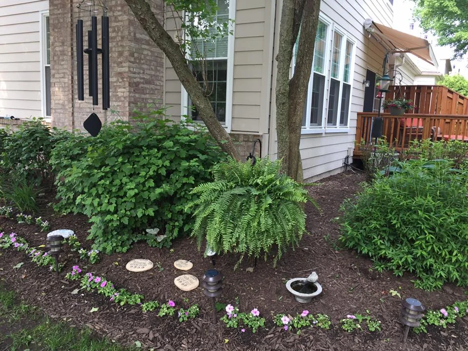 My zen garden sanctuary
