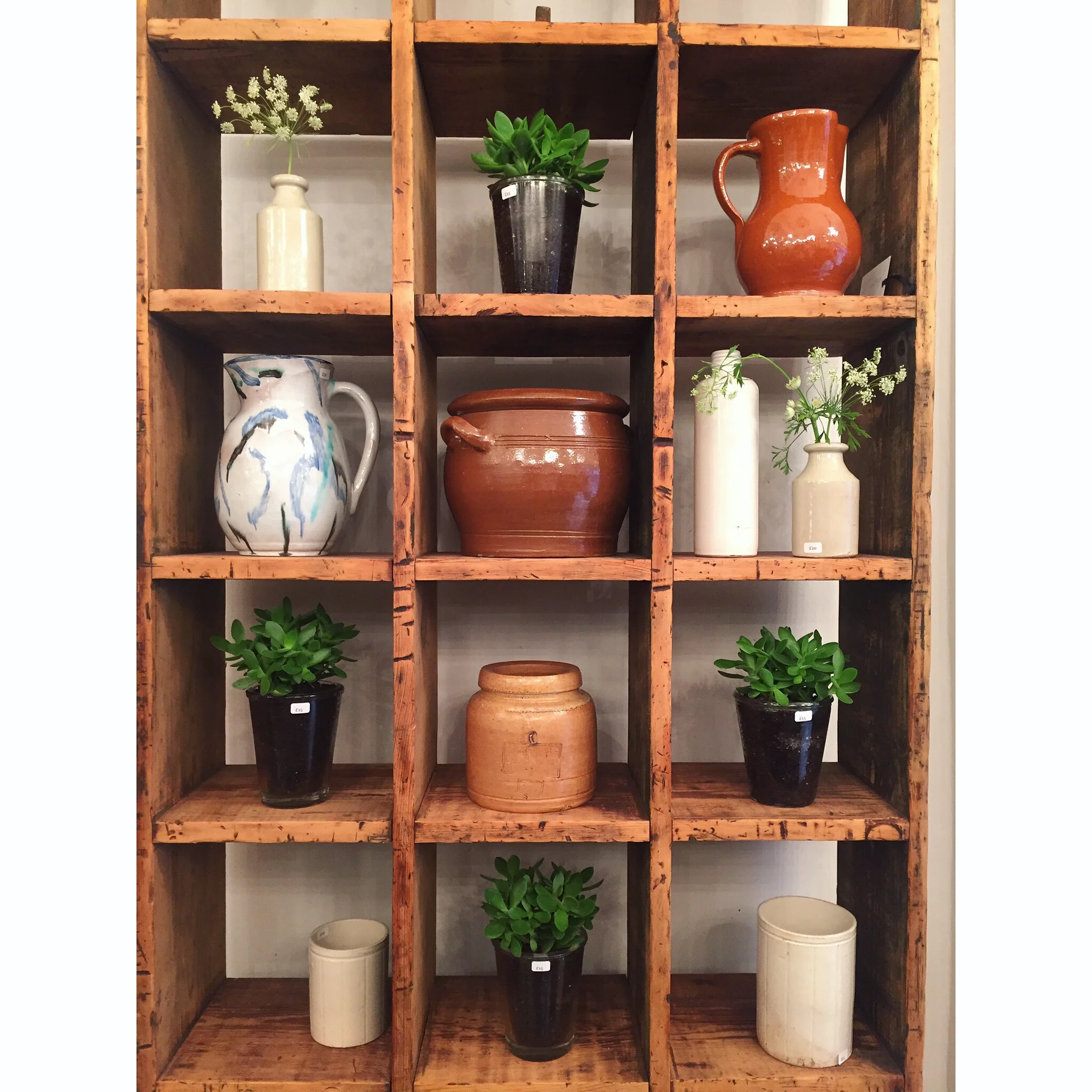 Pots, jugs + plants £12 - £35