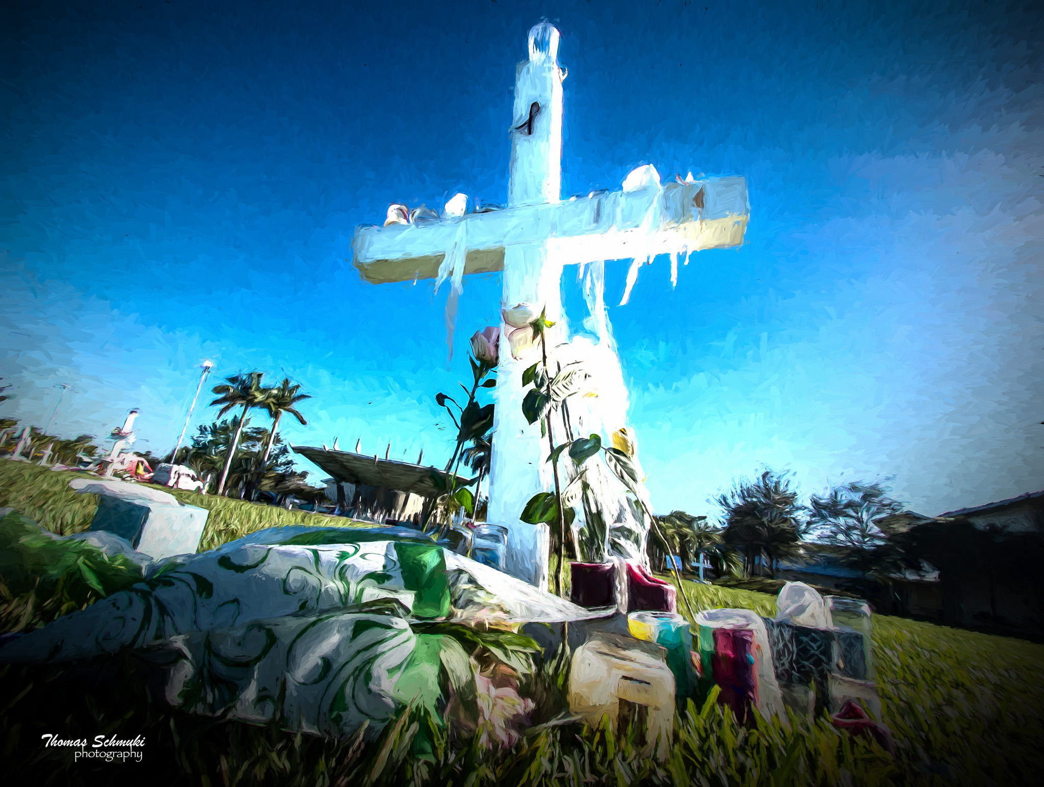500_6833-Edit-Edit-Edit.jpg