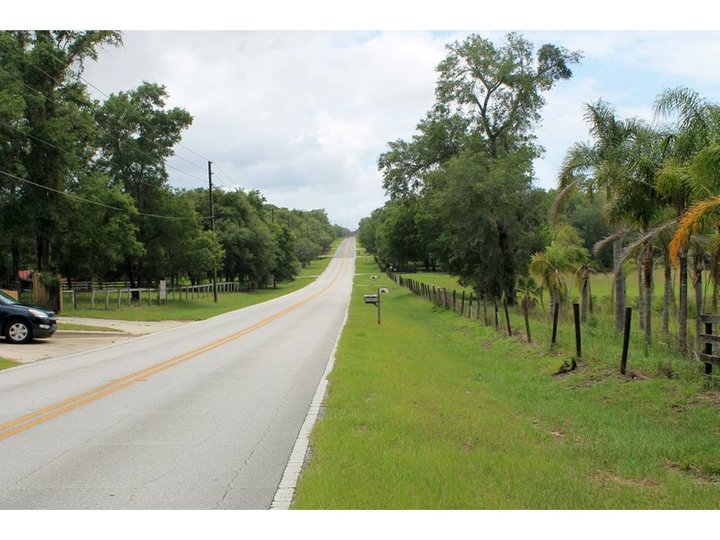 Mt Dora.jpg