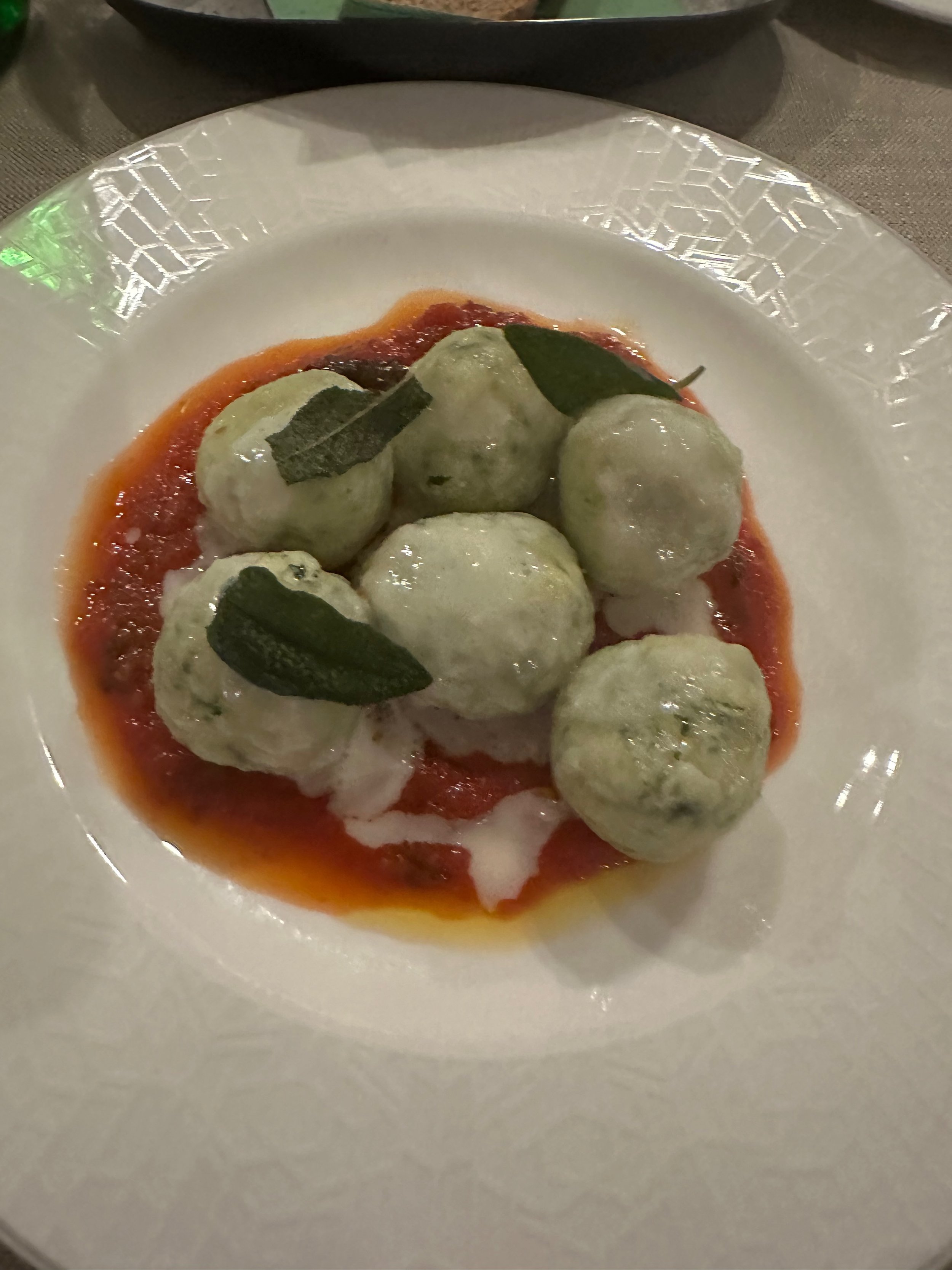 Gnudi