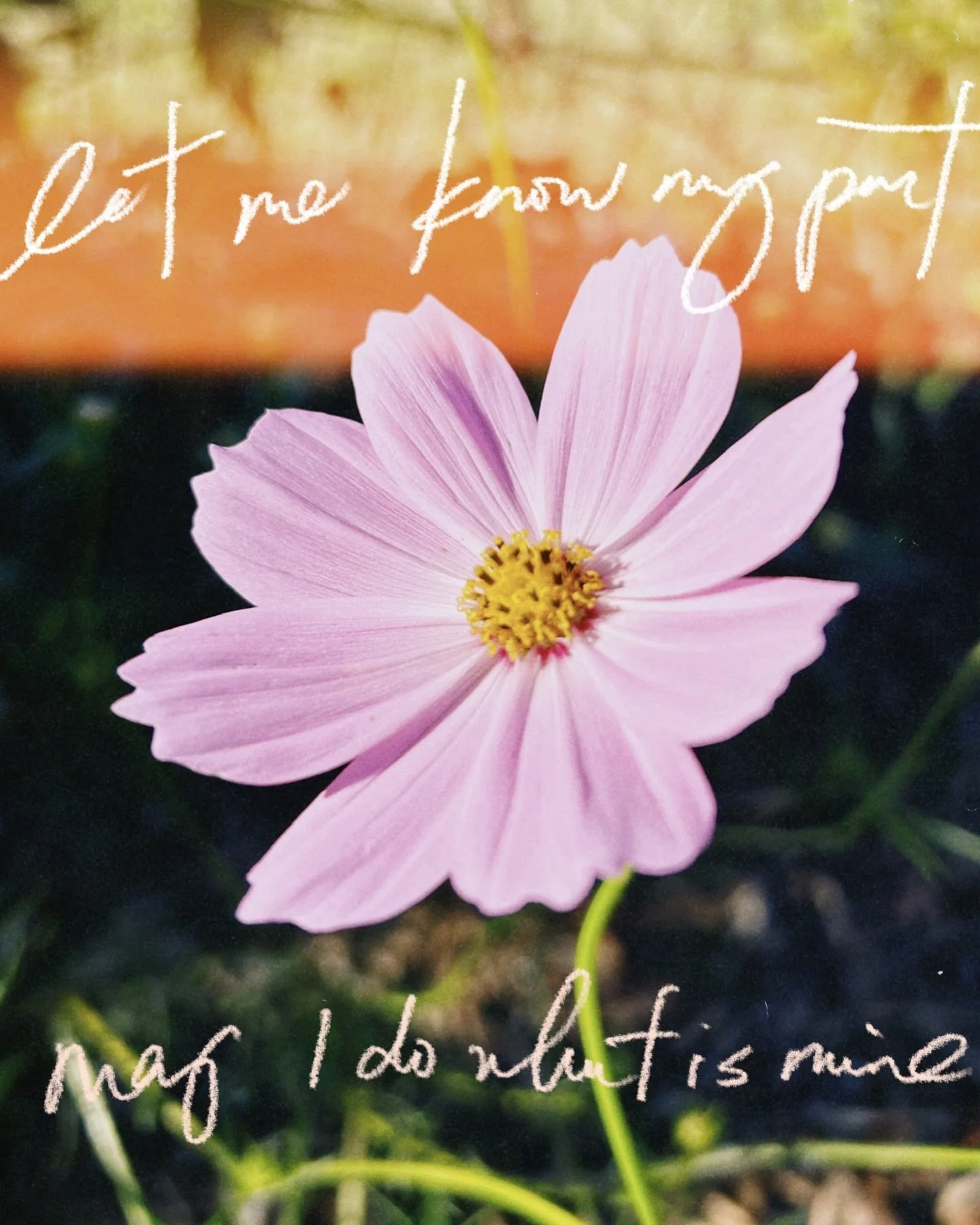 ✨ let me know my part &mdash; may i do what is mine ✨

a breath prayer to help uncover our roles in bringing about a more just and loving world for all 🕊️

based on 1 Corinthians 12:12-22 and a sermon from @britbarron 🫶🫶🫶