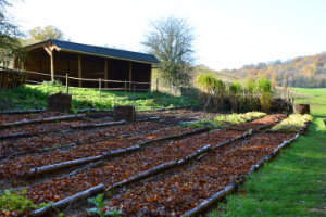 BLC_tuin_moestuin_abri_mooi_300x200.jpg