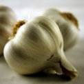 garlic.jpg