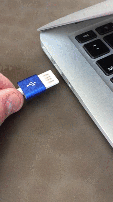 dio reversible.gif